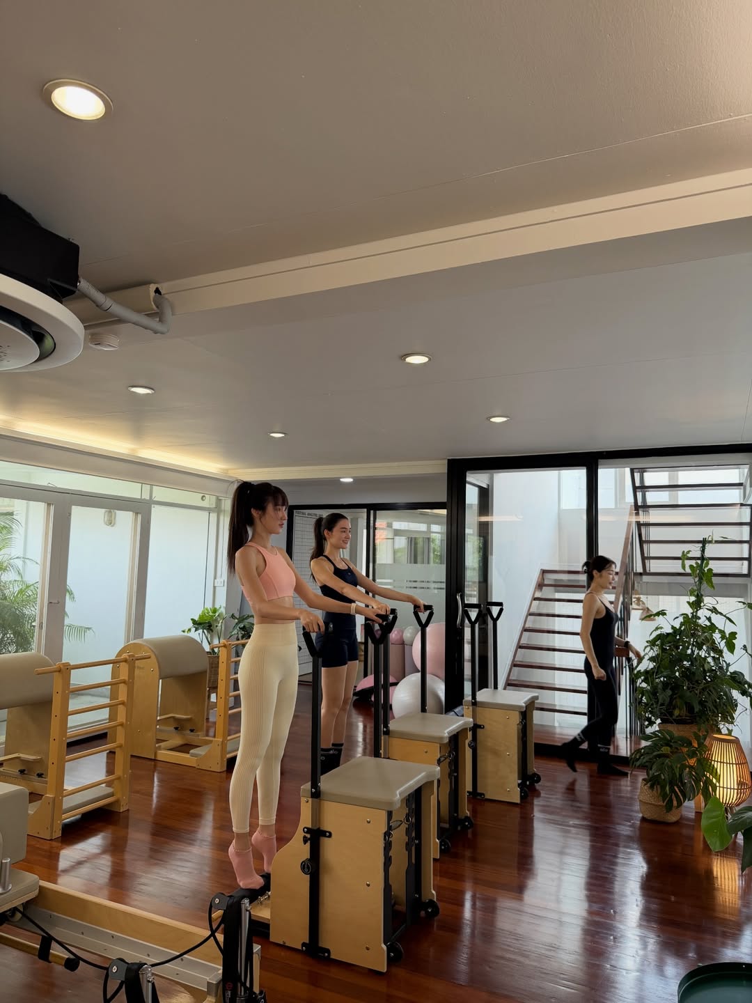 เดียร์น่า ฟลีโป