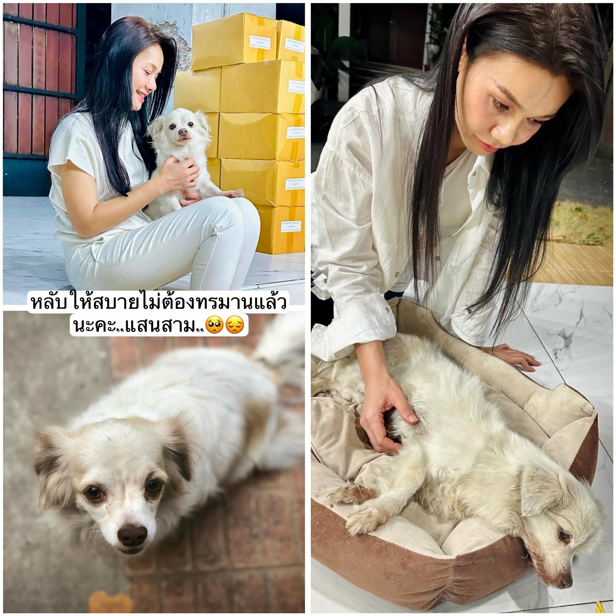 ต่าย - อรทัย ดาบคำ