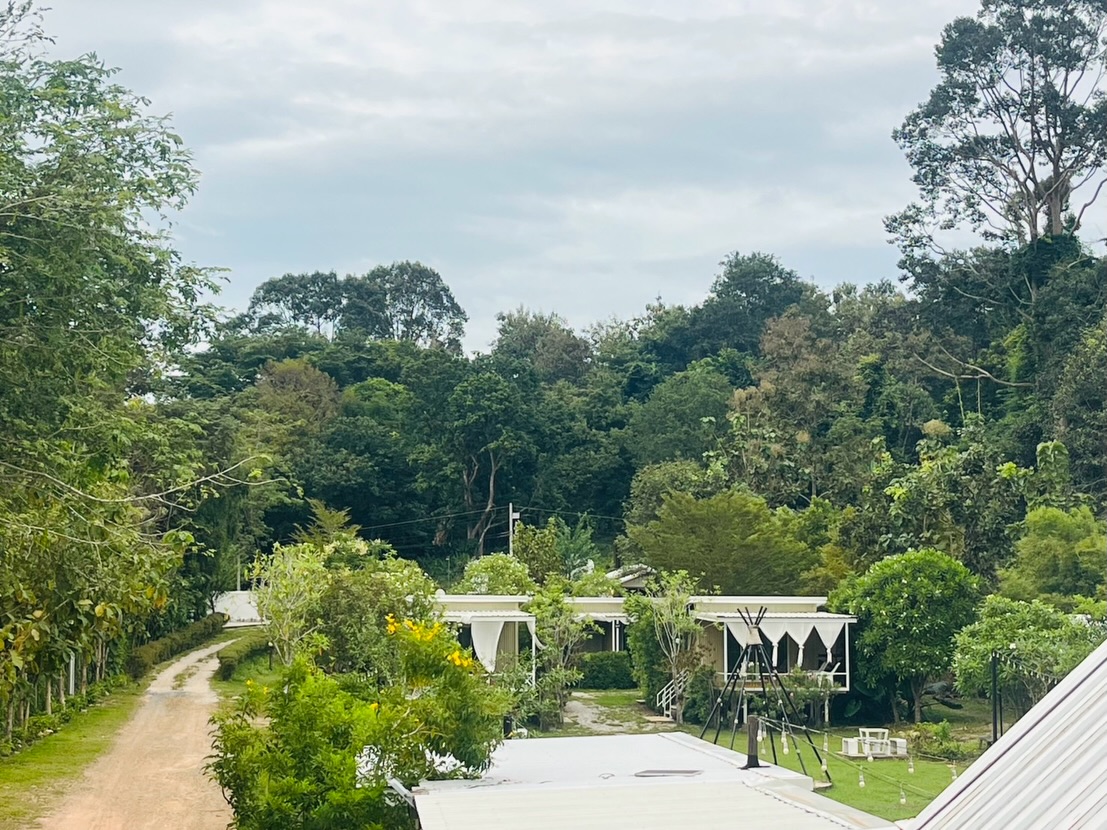 ต่าย - อรทัย ดาบคำ