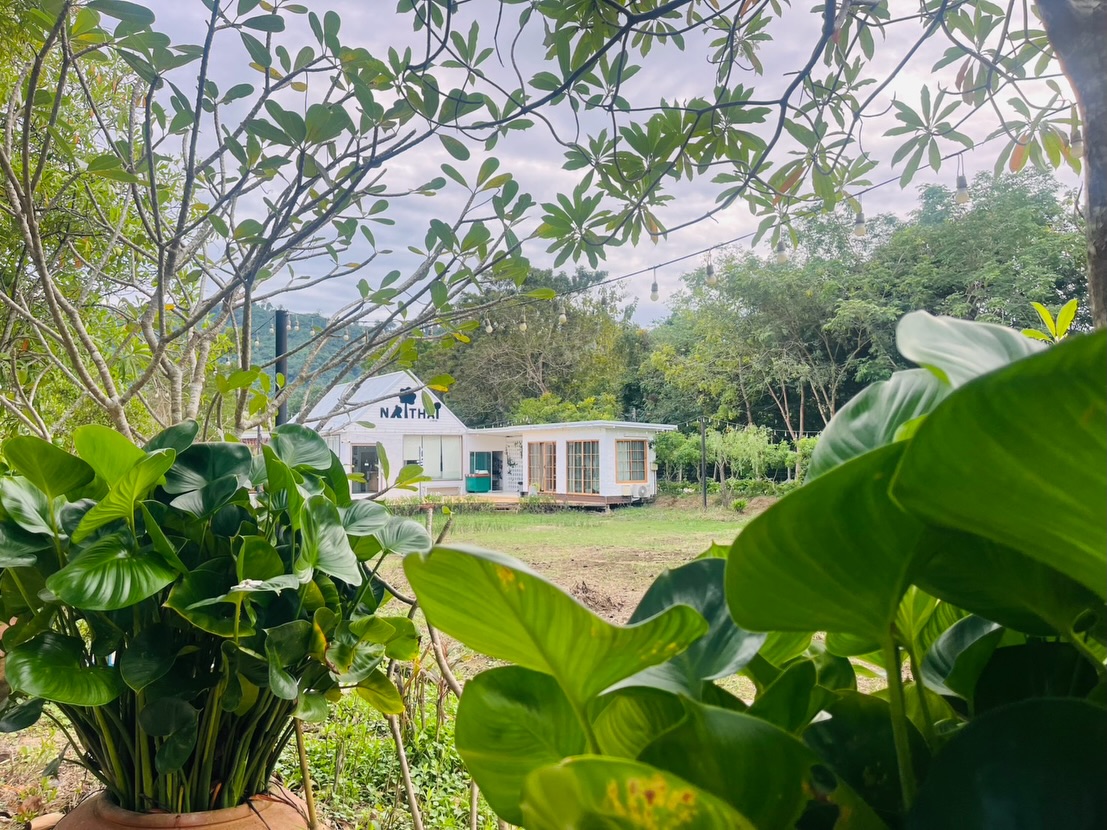 ต่าย - อรทัย ดาบคำ