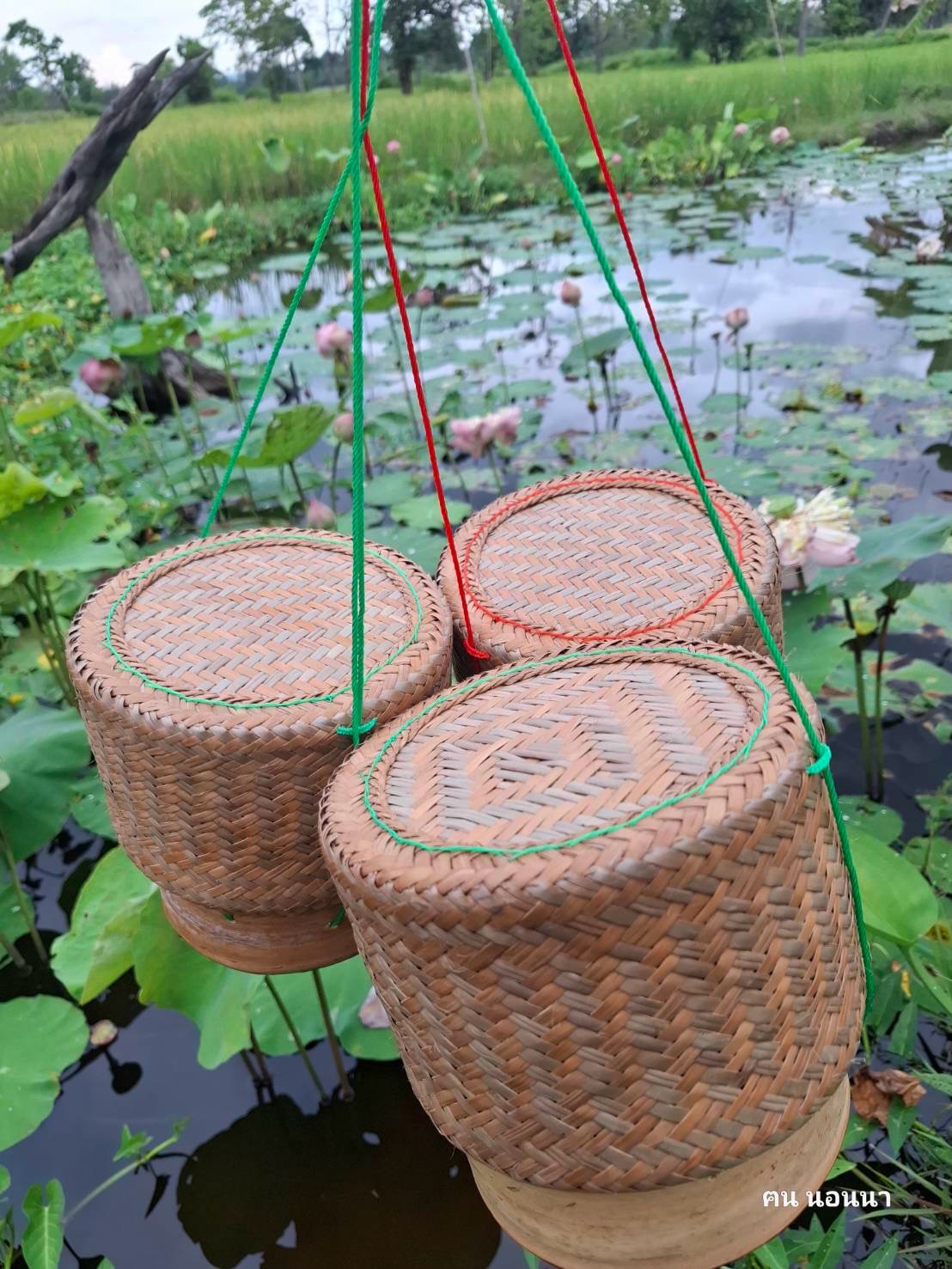 ต่าย - อรทัย ดาบคำ