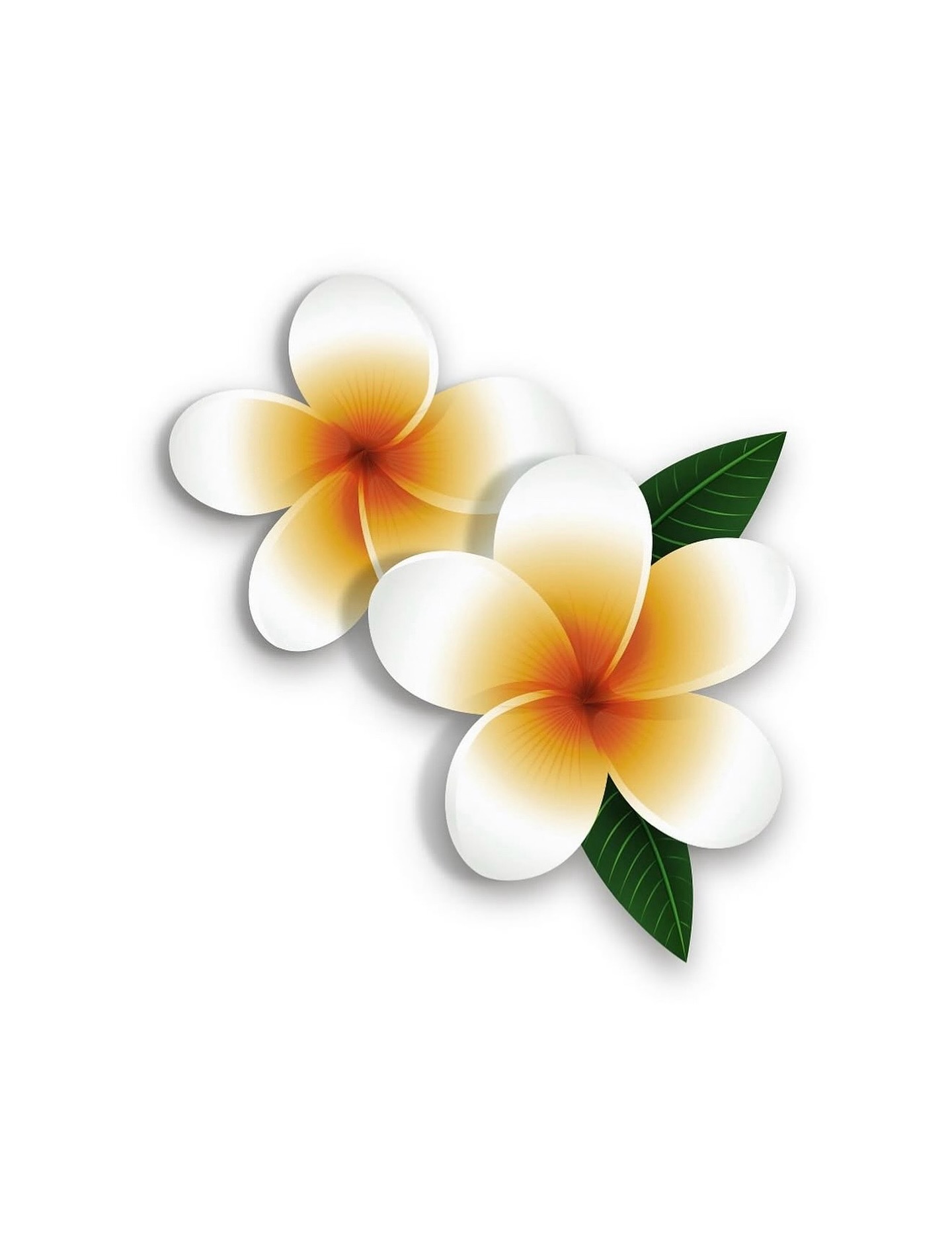 จี๋ - สุทธิรักษ์ ทรัพย์วิจิตร