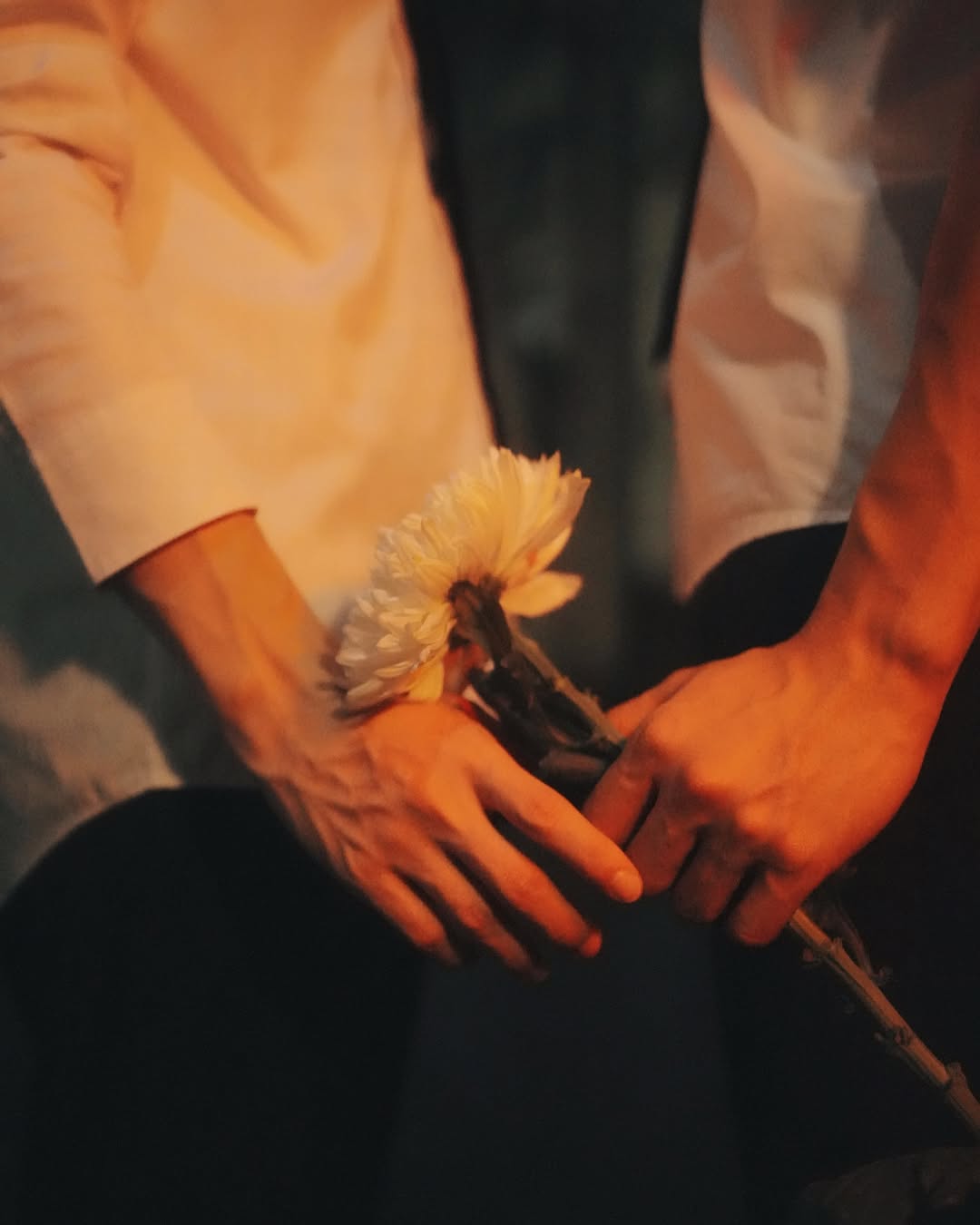 มอส - ภาณุวัฒน์ โสประดิษฐ