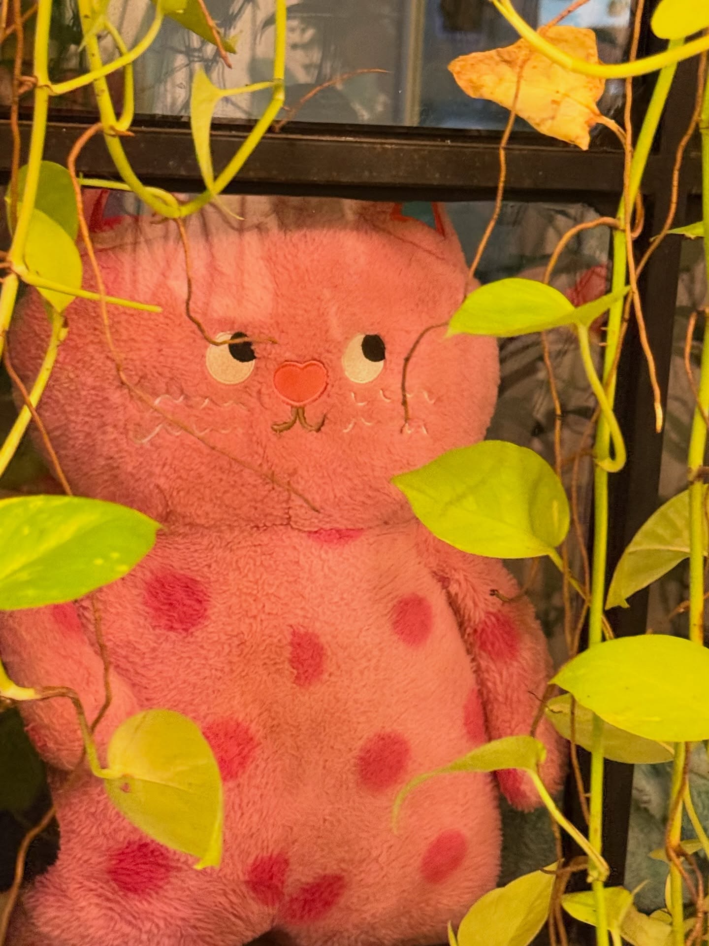 มอส - ภาณุวัฒน์ โสประดิษฐ