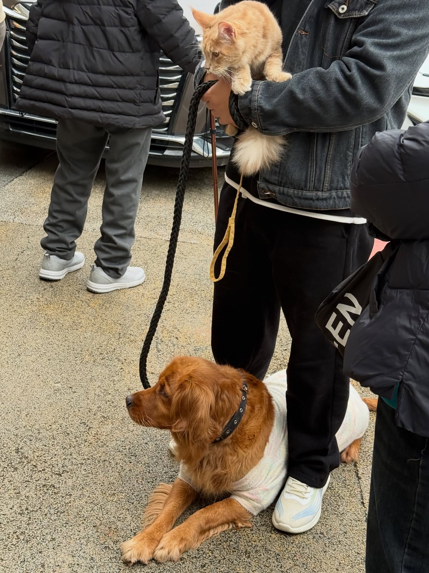 มอส - ภาณุวัฒน์ โสประดิษฐ