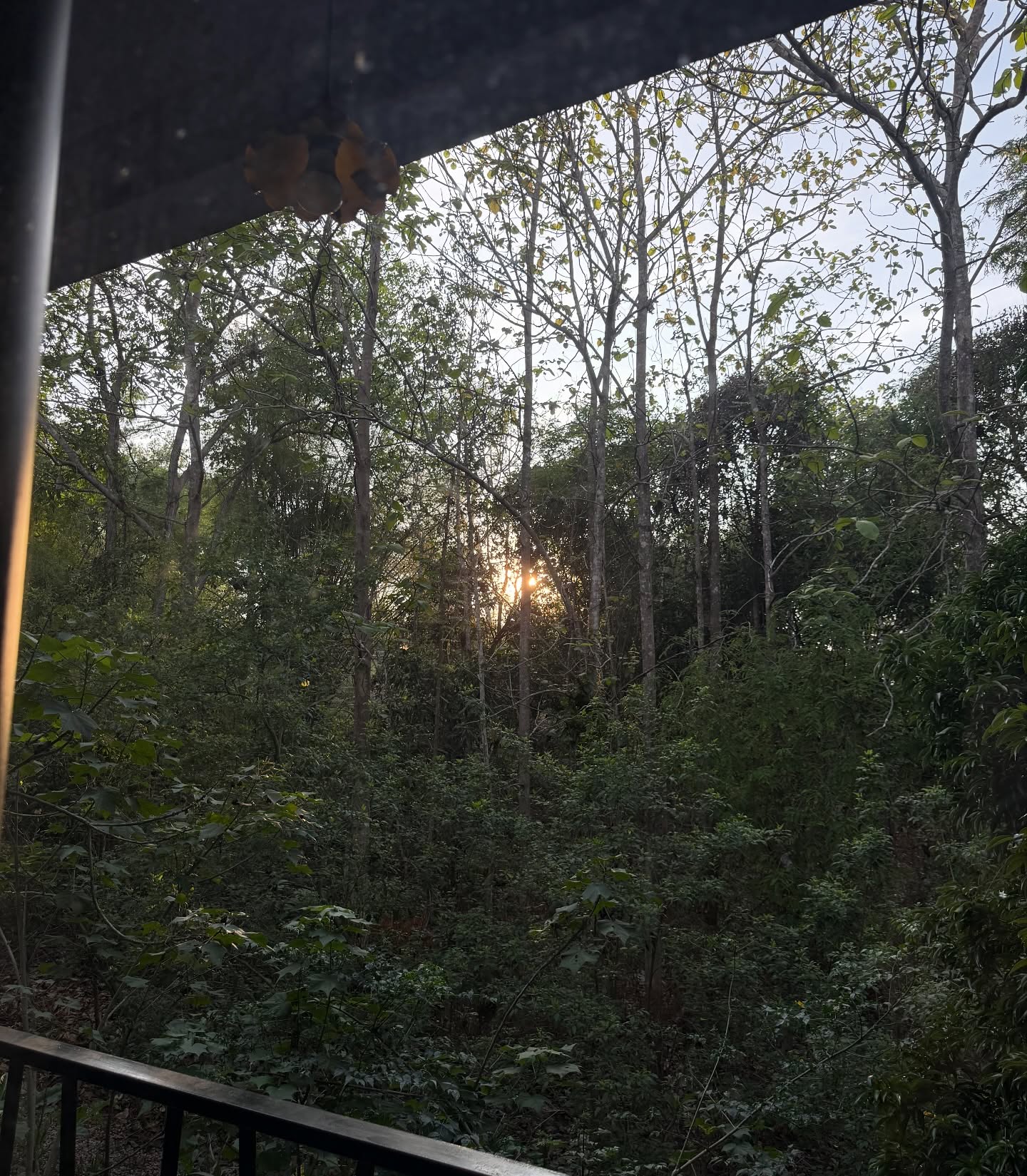 มอส - ภาณุวัฒน์ โสประดิษฐ