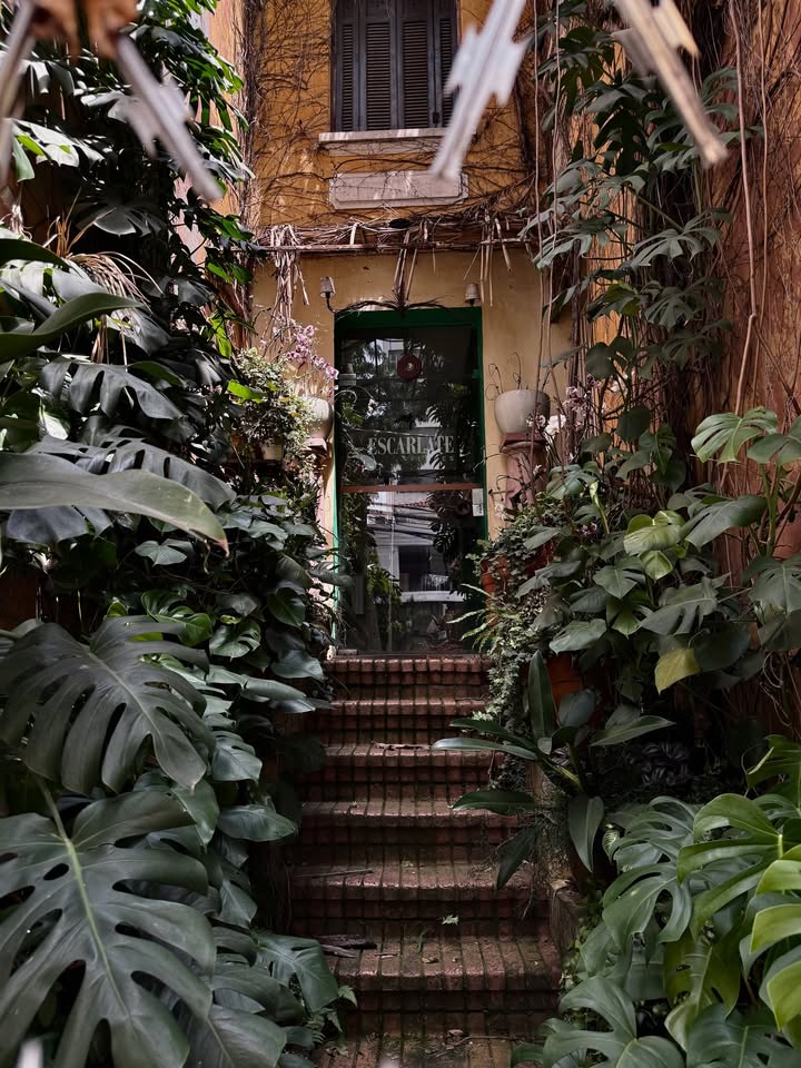 มอส - ภาณุวัฒน์ โสประดิษฐ