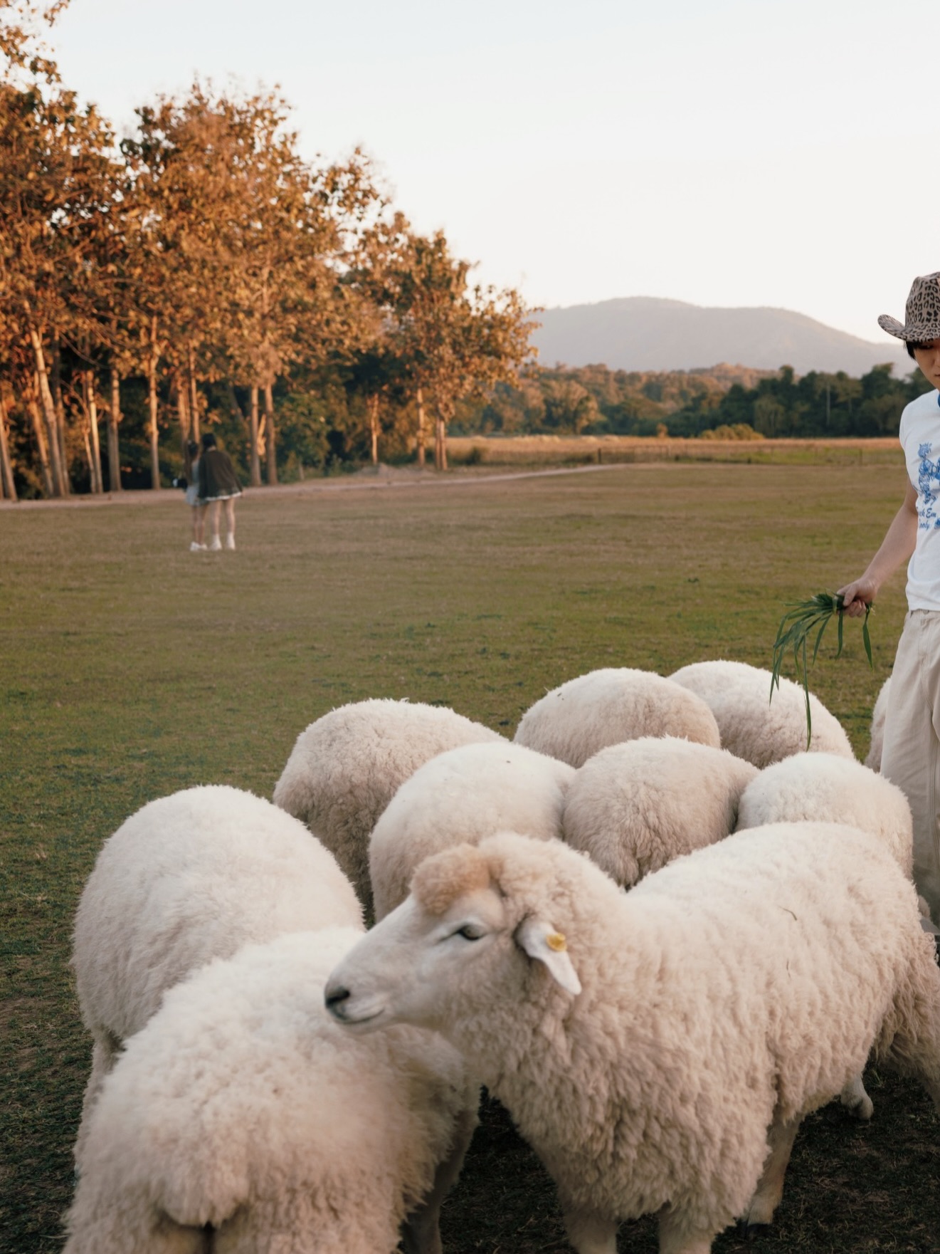มอส - ภาณุวัฒน์ โสประดิษฐ