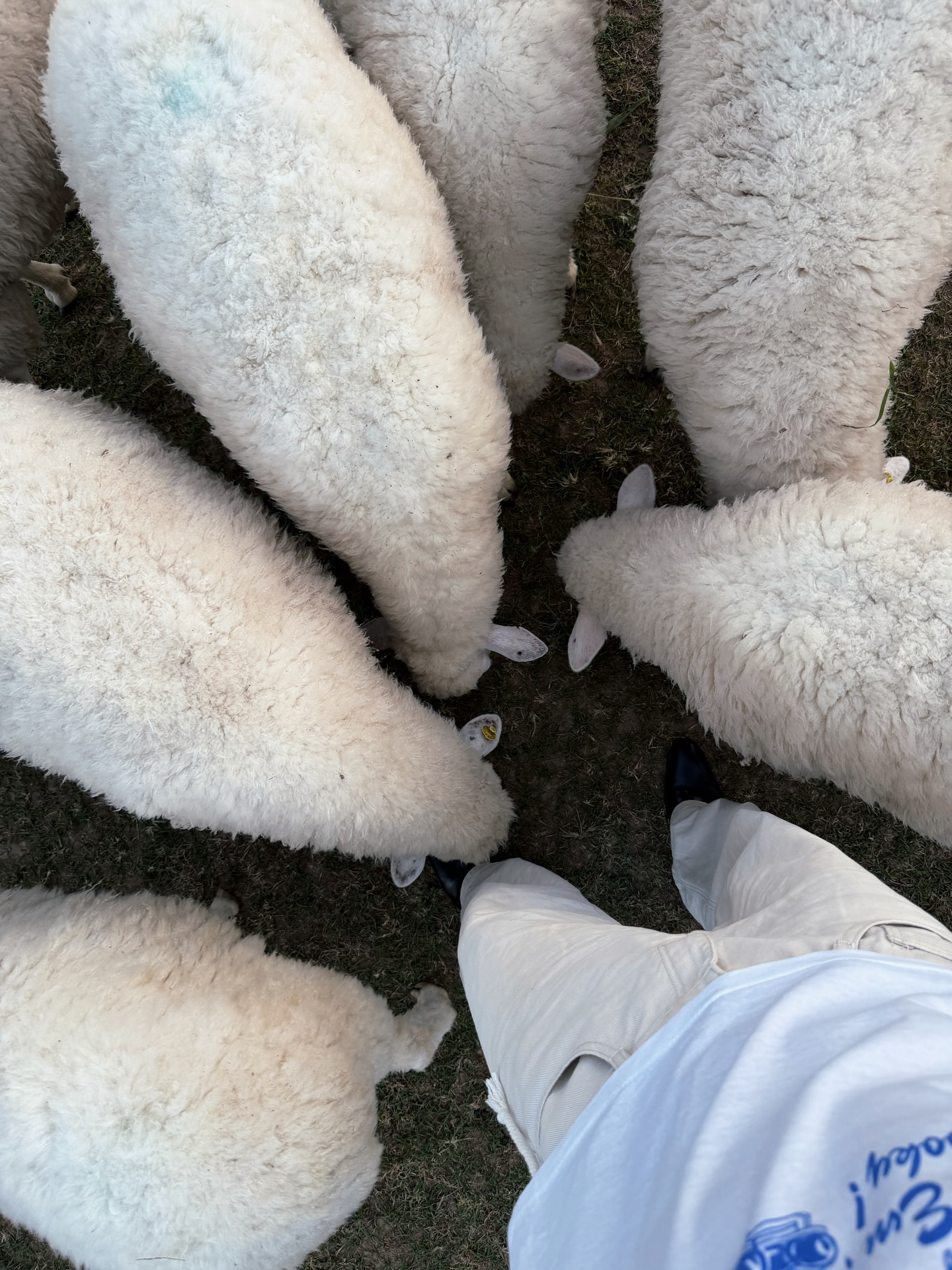 มอส - ภาณุวัฒน์ โสประดิษฐ