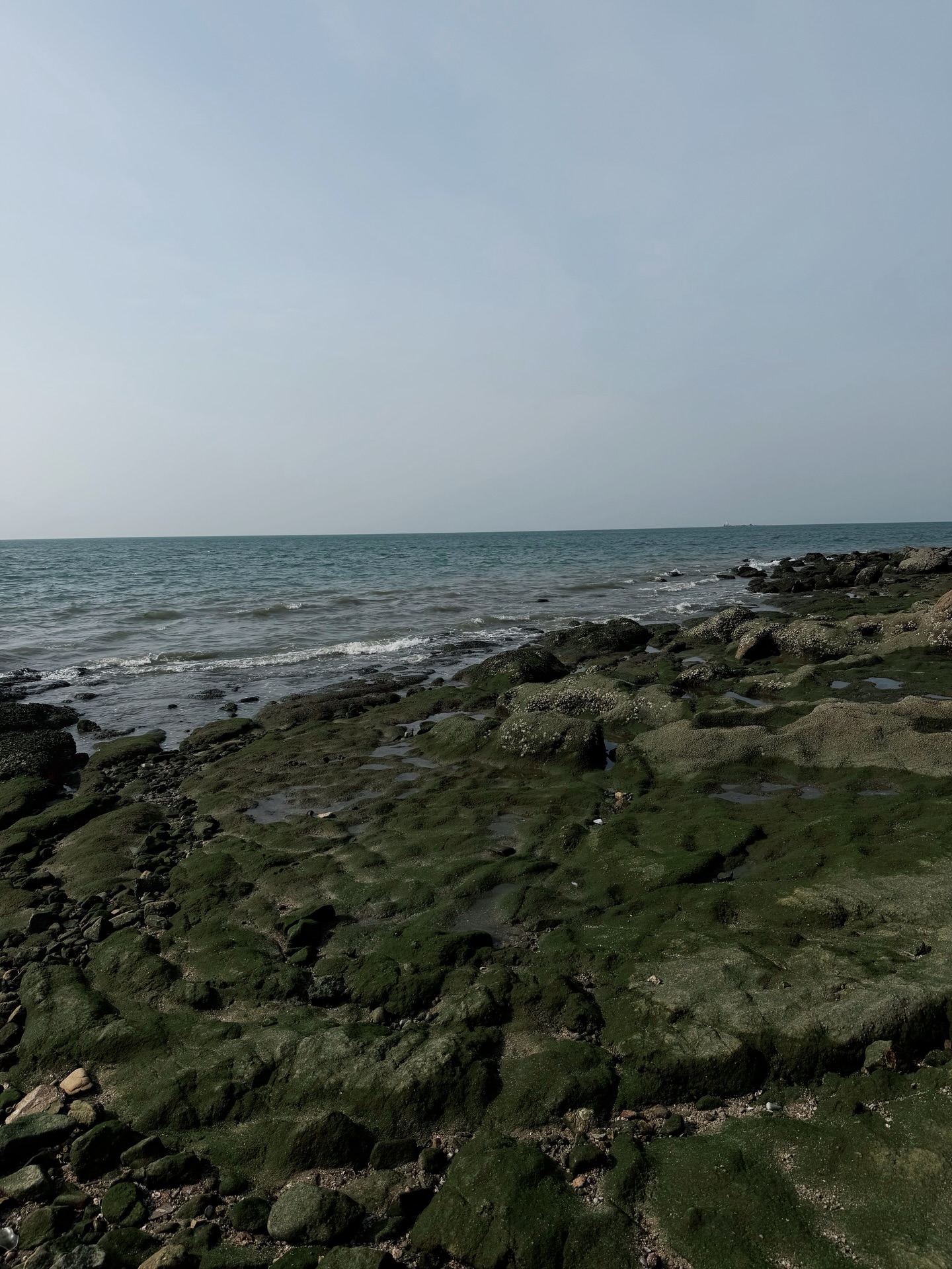 มอส - ภาณุวัฒน์ โสประดิษฐ