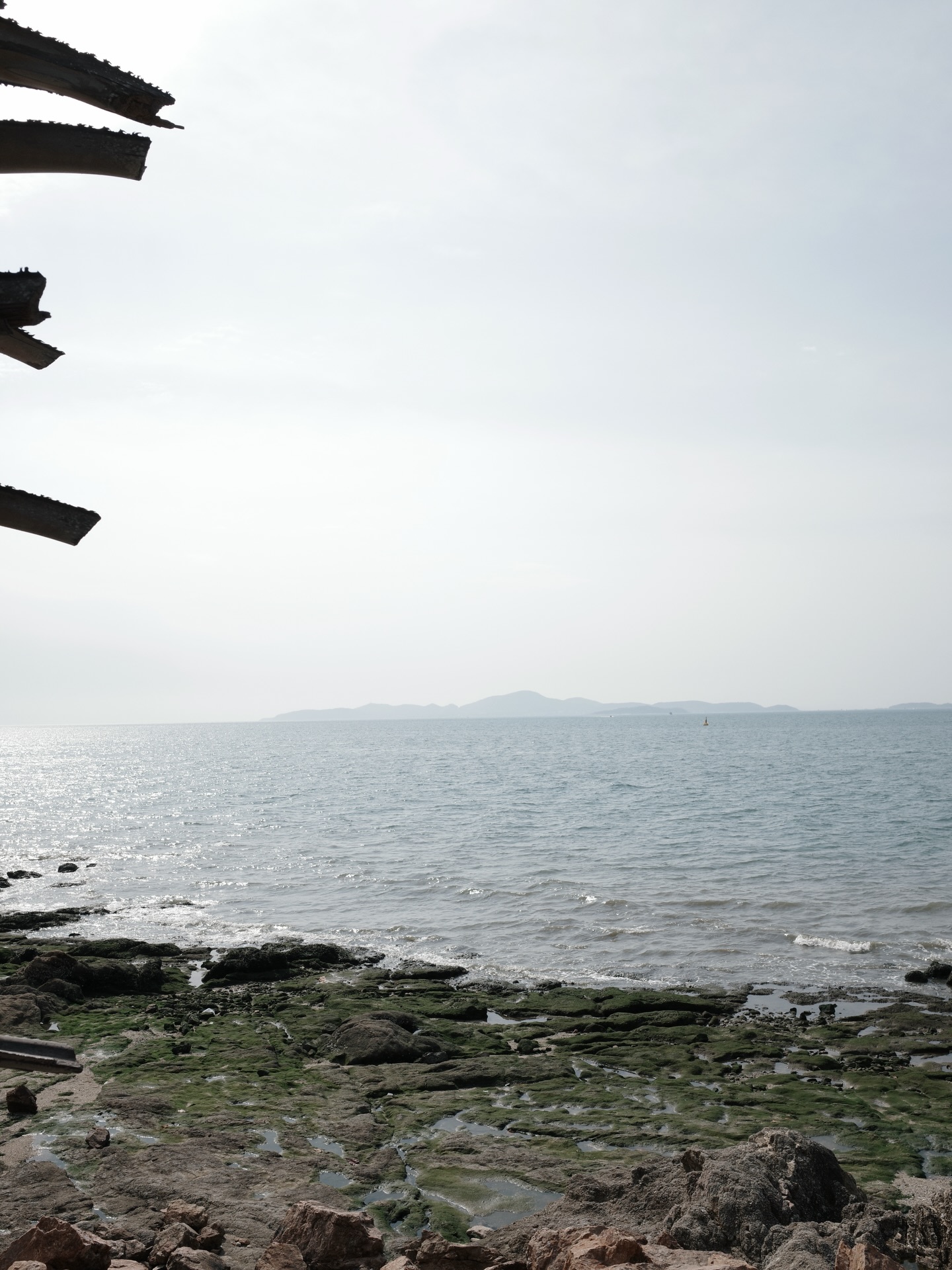 มอส - ภาณุวัฒน์ โสประดิษฐ