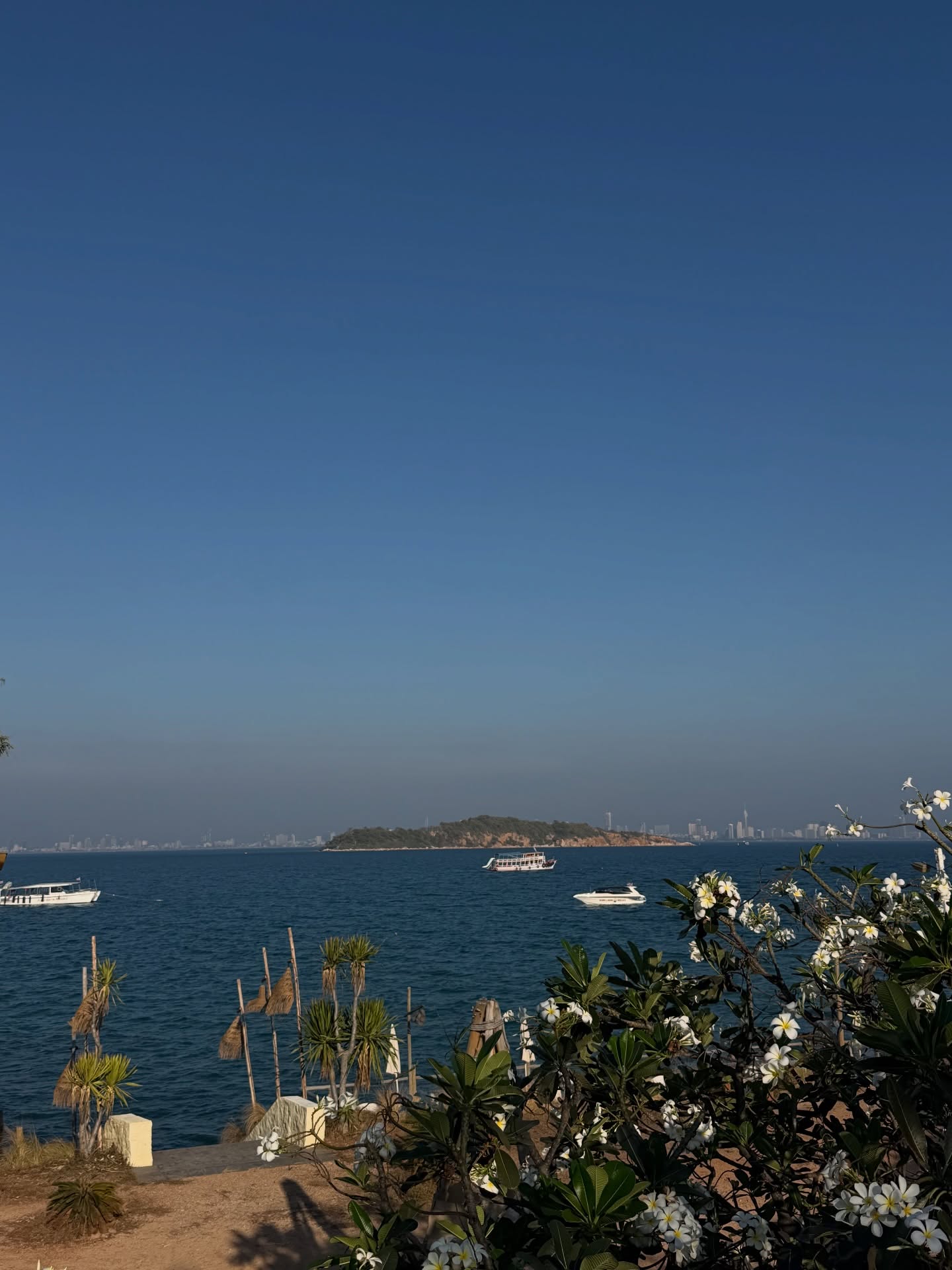 มอส - ภาณุวัฒน์ โสประดิษฐ