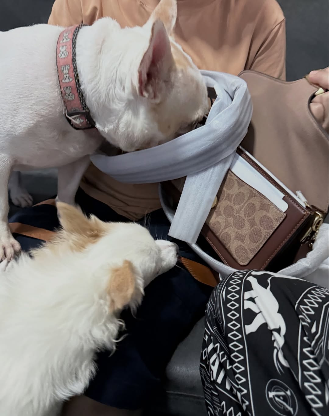 มอส - ภาณุวัฒน์ โสประดิษฐ