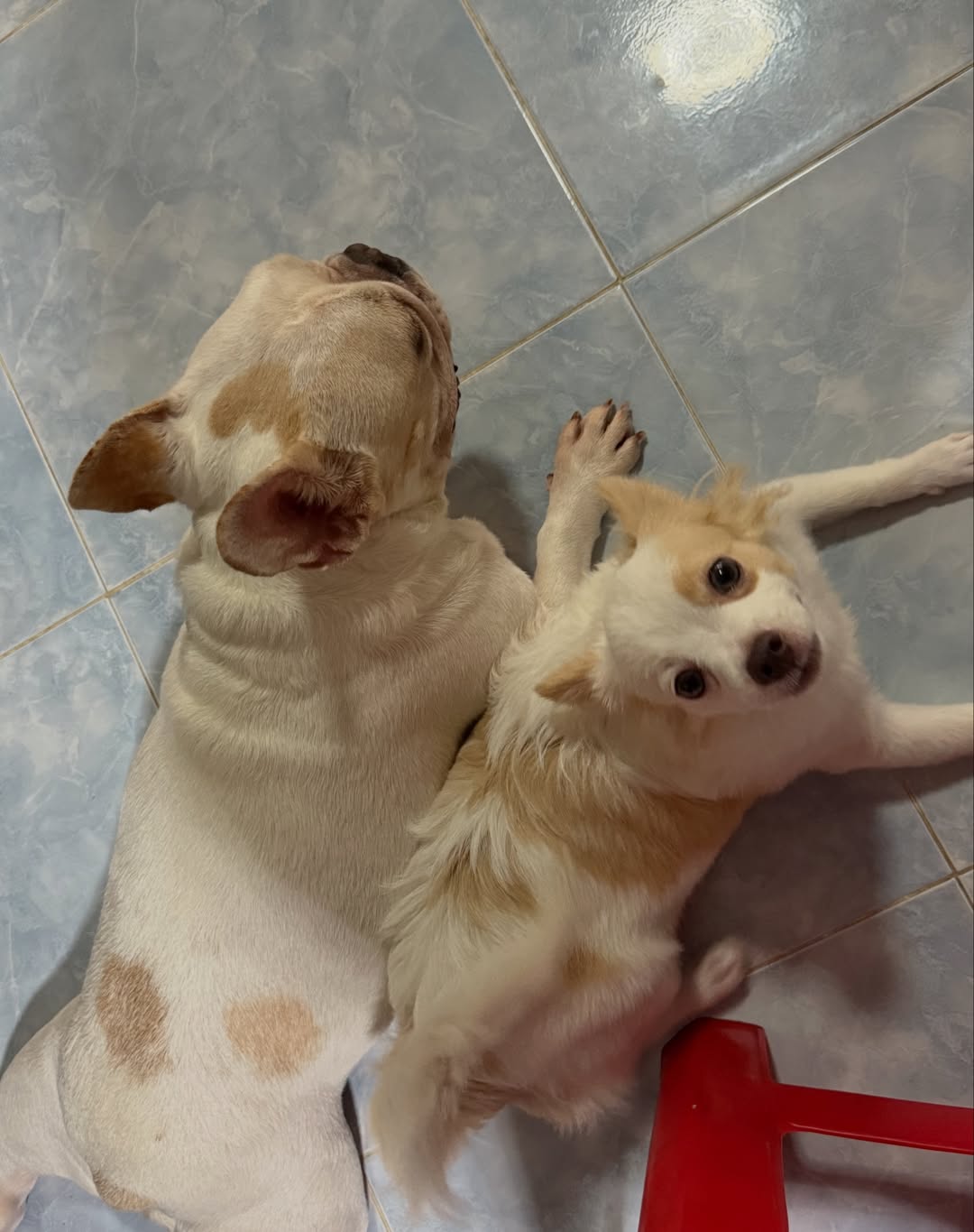 มอส - ภาณุวัฒน์ โสประดิษฐ