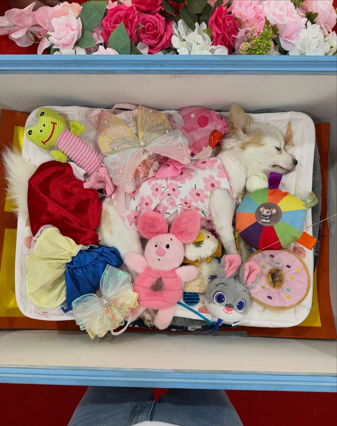 มอส - ภาณุวัฒน์ โสประดิษฐ