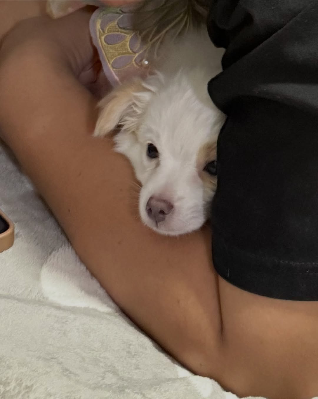 มอส - ภาณุวัฒน์ โสประดิษฐ