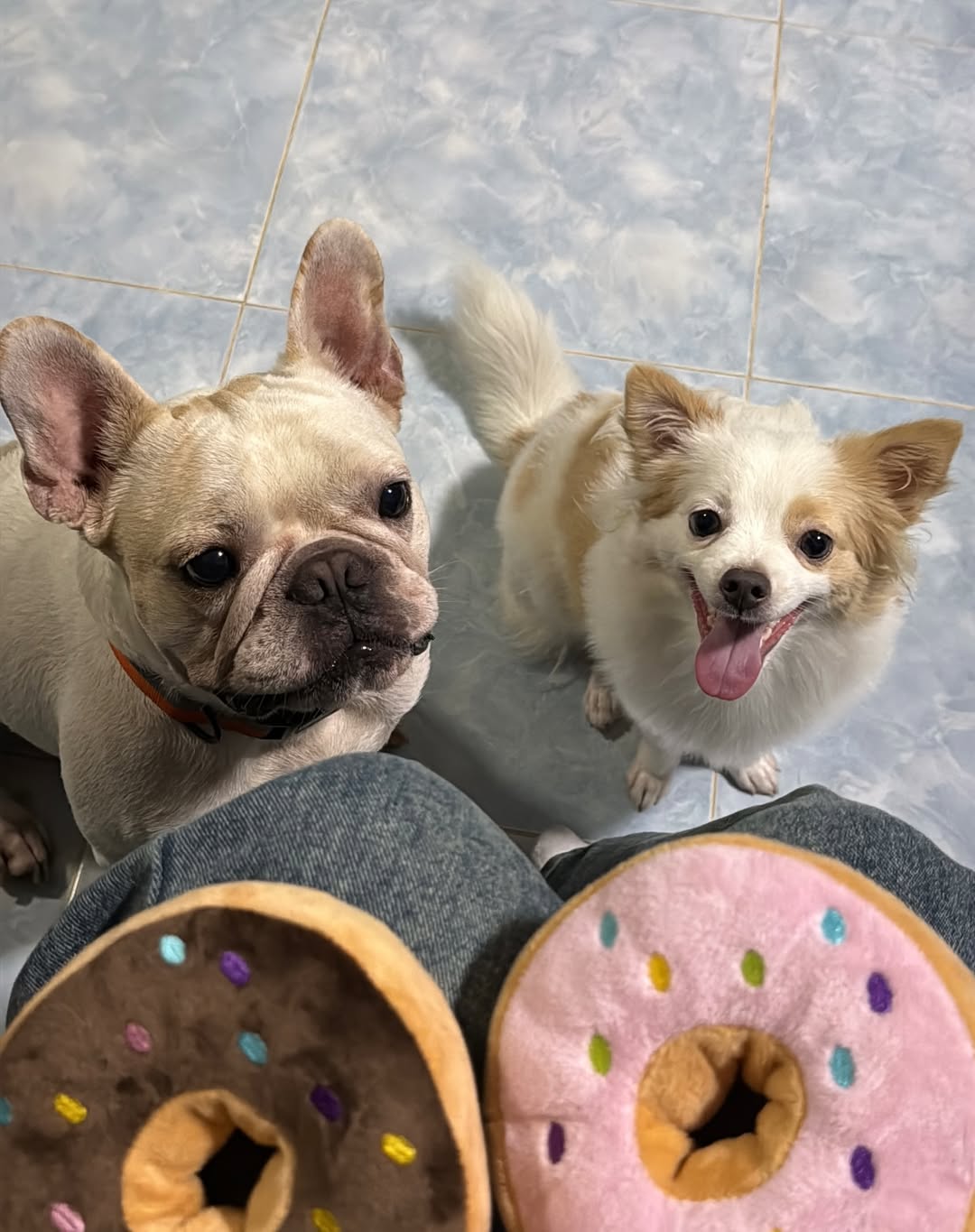 มอส - ภาณุวัฒน์ โสประดิษฐ