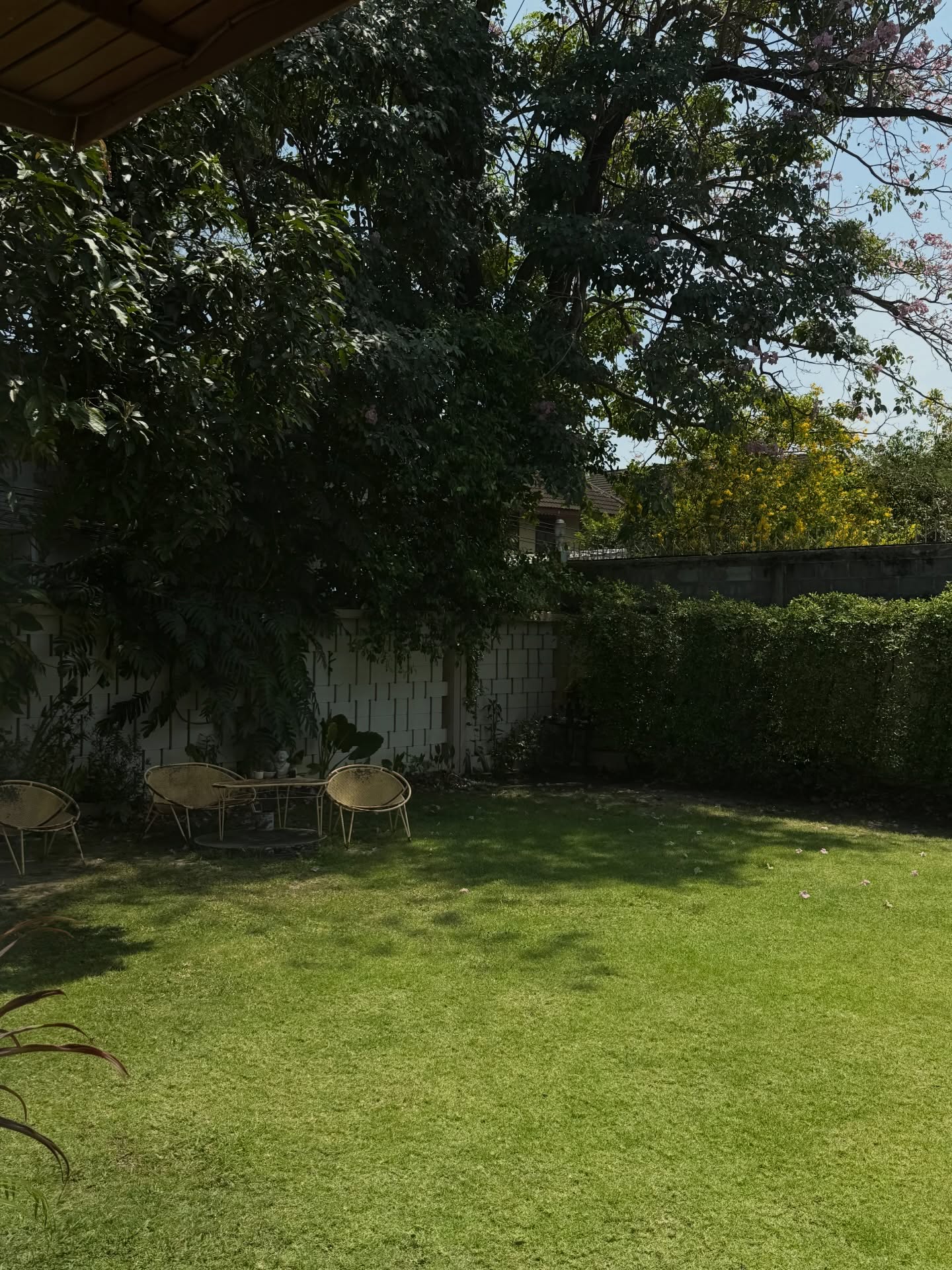 มอส - ภาณุวัฒน์ โสประดิษฐ