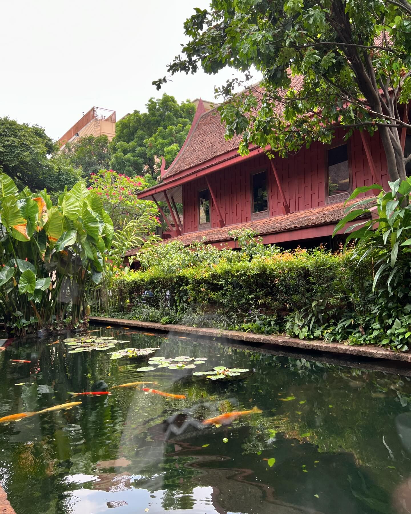 ฝน - ศนันธฉัตร ธนพัฒน์พิศาล