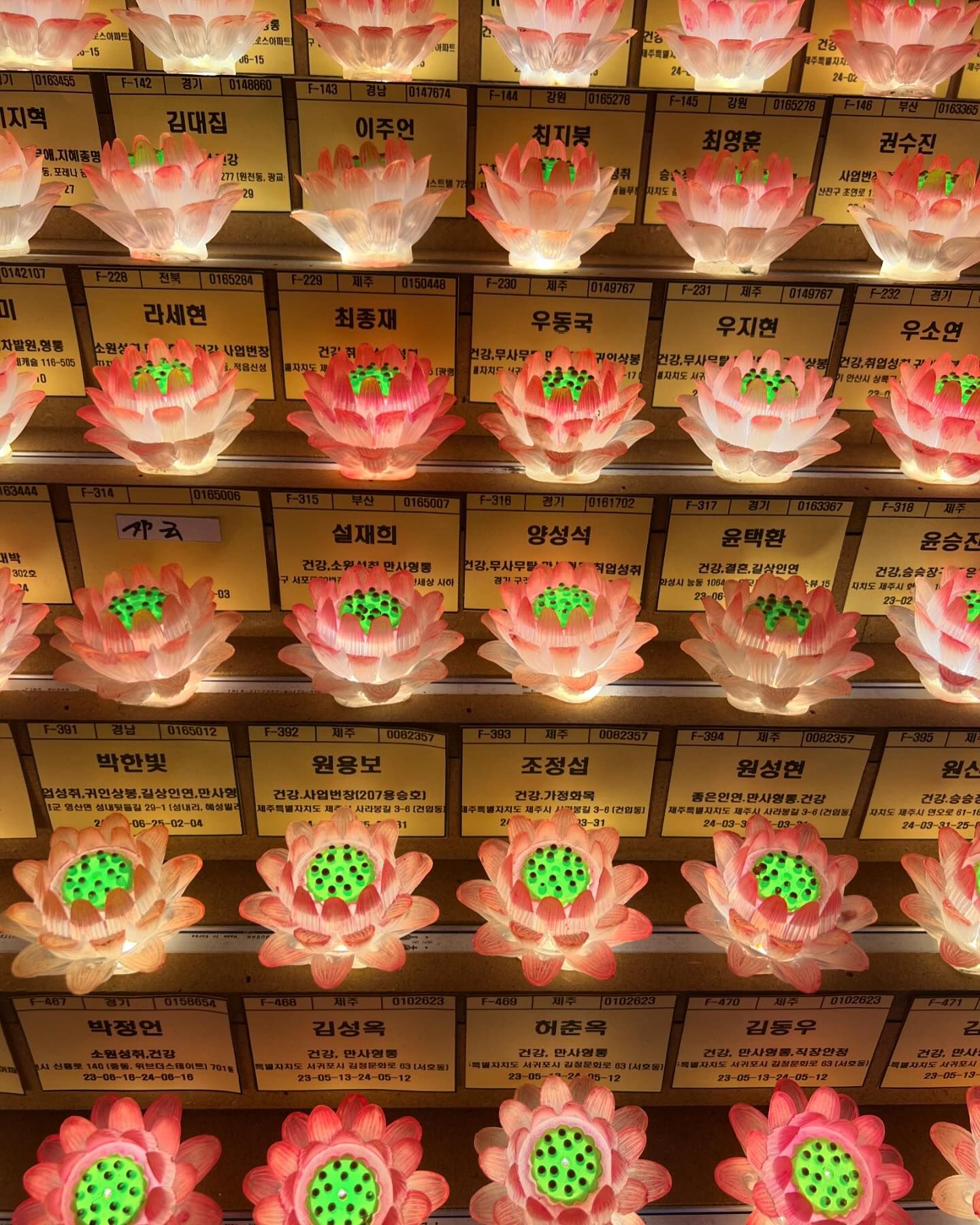 ฝน - ศนันธฉัตร ธนพัฒน์พิศาล