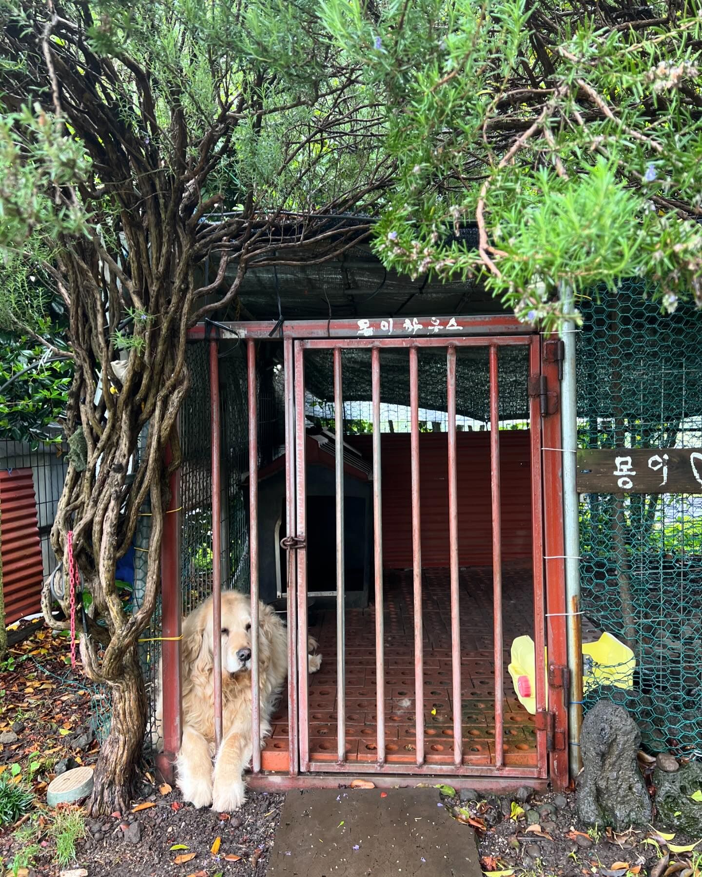 ฝน - ศนันธฉัตร ธนพัฒน์พิศาล