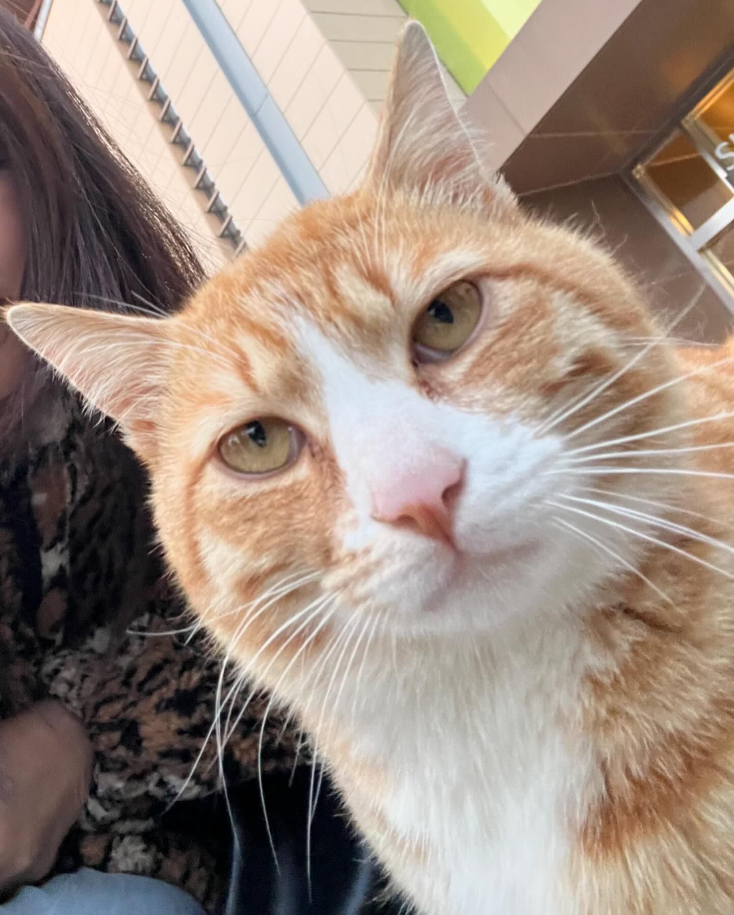 ฝน - ศนันธฉัตร ธนพัฒน์พิศาล