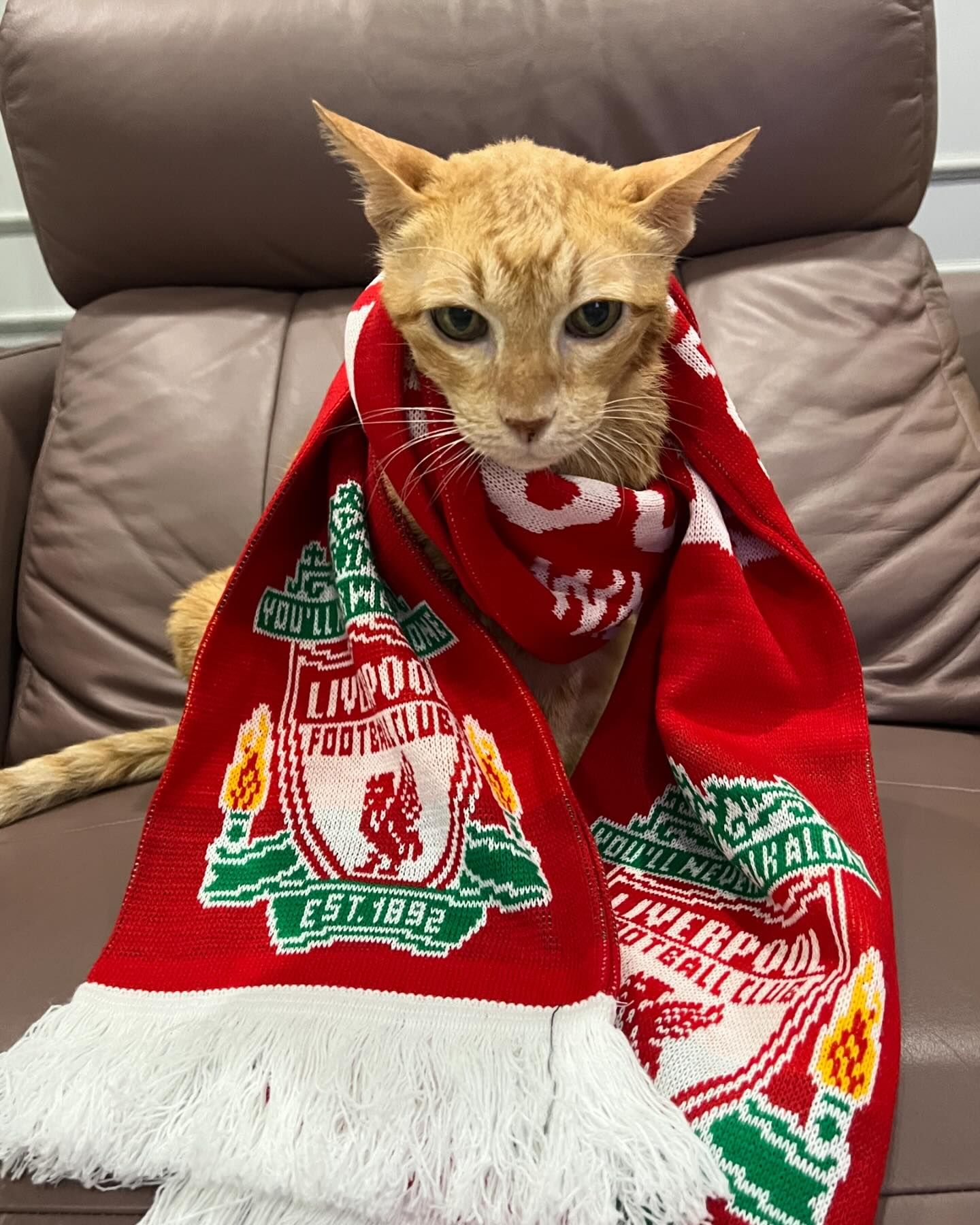 ฝน - ศนันธฉัตร ธนพัฒน์พิศาล