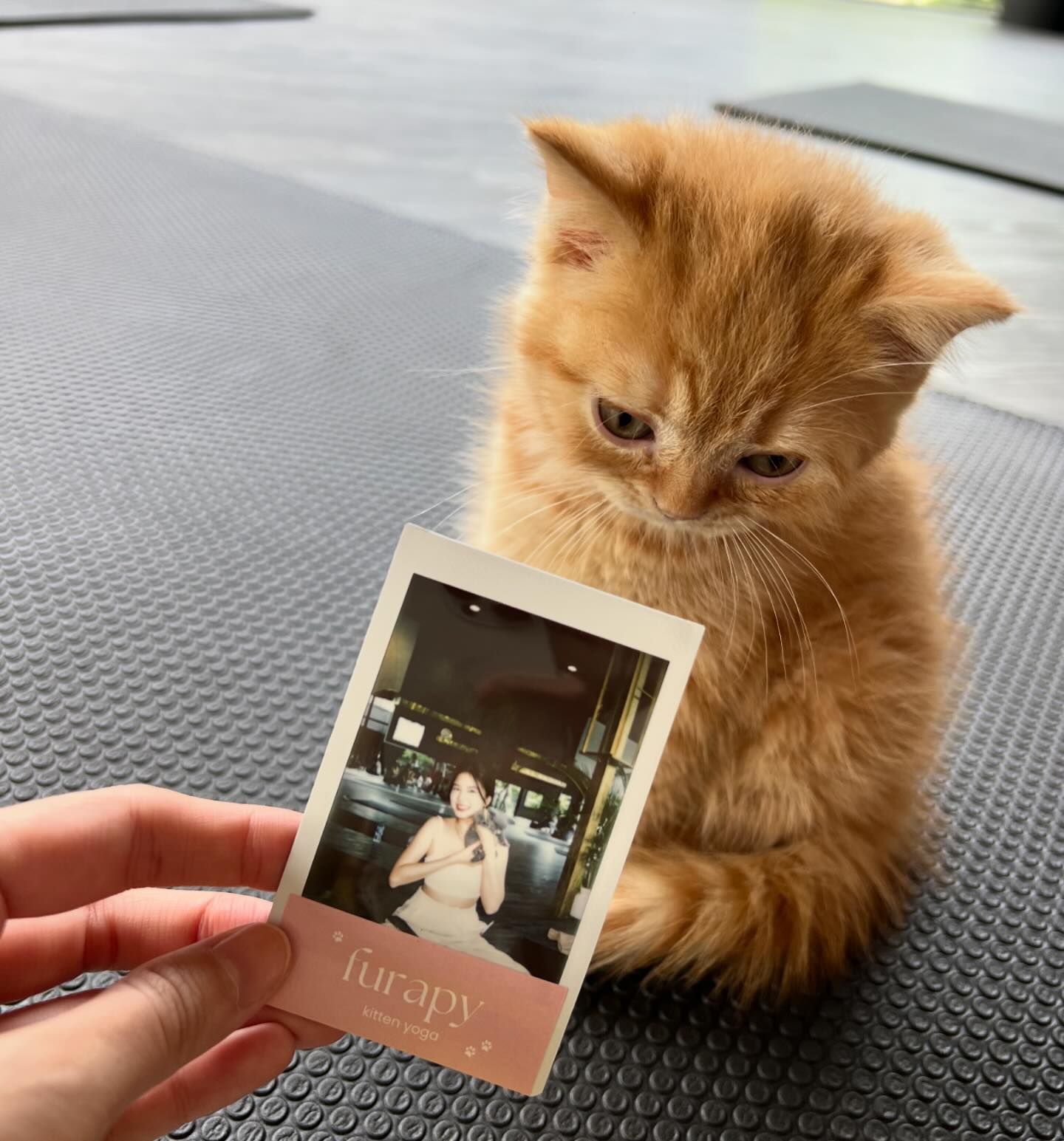 ฝน - ศนันธฉัตร ธนพัฒน์พิศาล