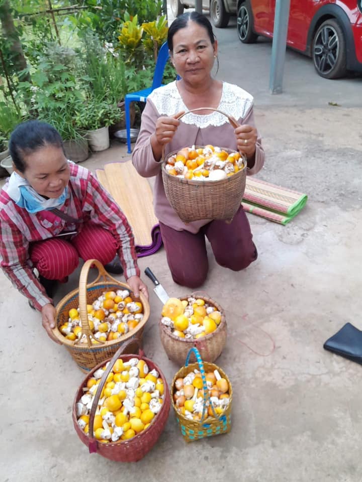 ก้อง ห้วยไร่