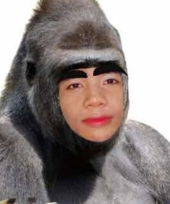 ก้อง ห้วยไร่