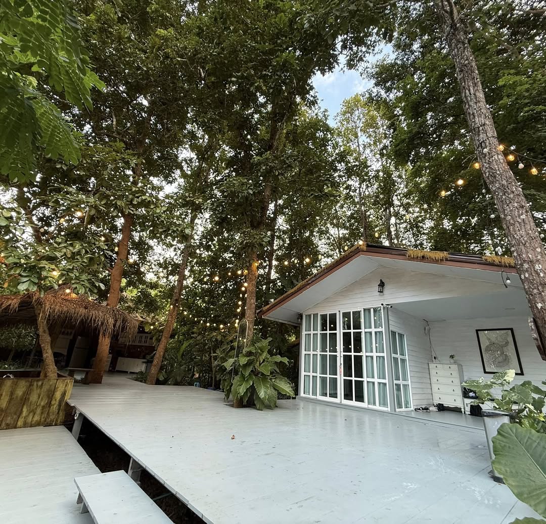 ก้อง ห้วยไร่