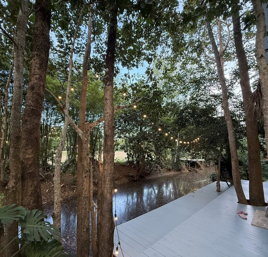 ก้อง ห้วยไร่