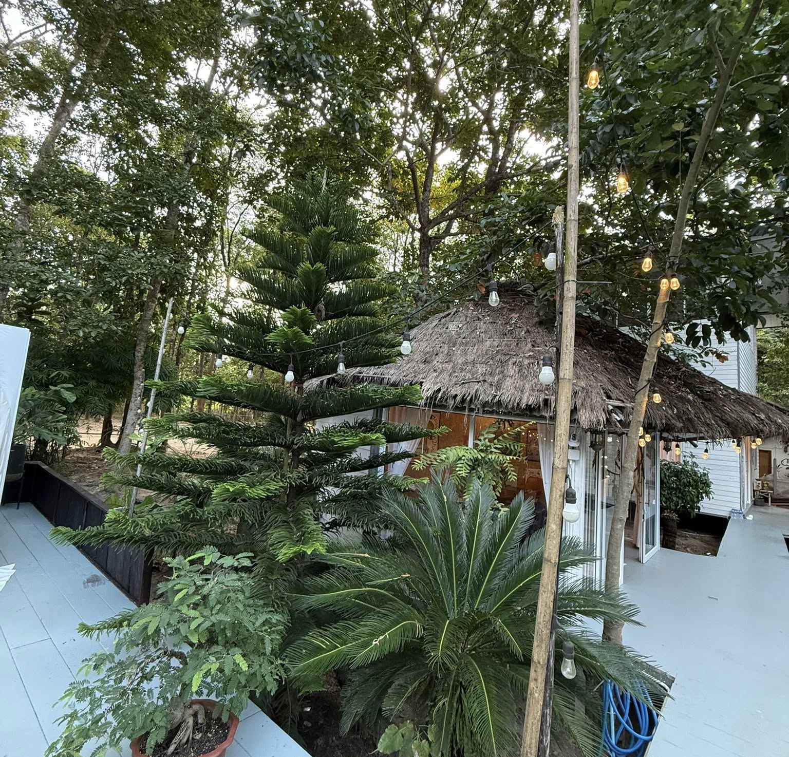 ก้อง ห้วยไร่