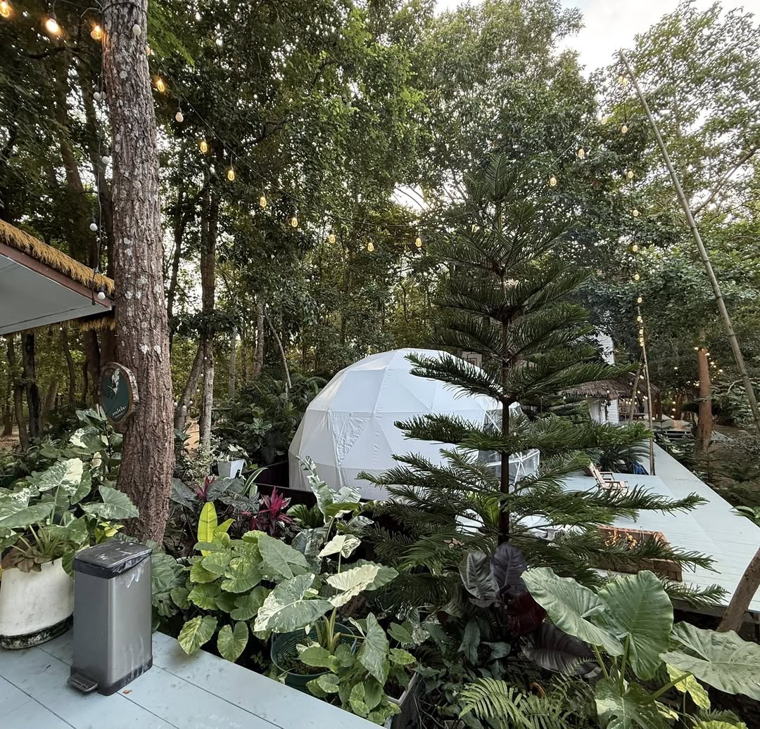 ก้อง ห้วยไร่