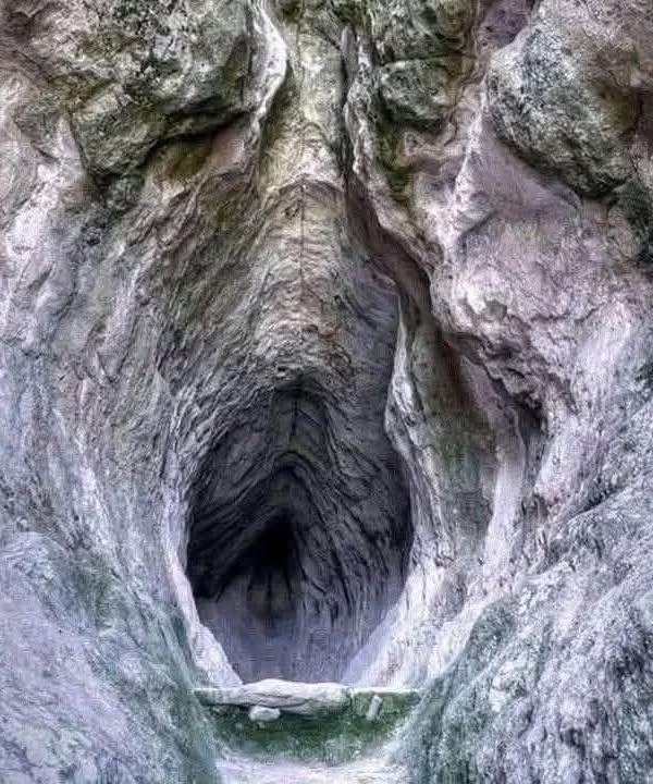 ก้อง ห้วยไร่