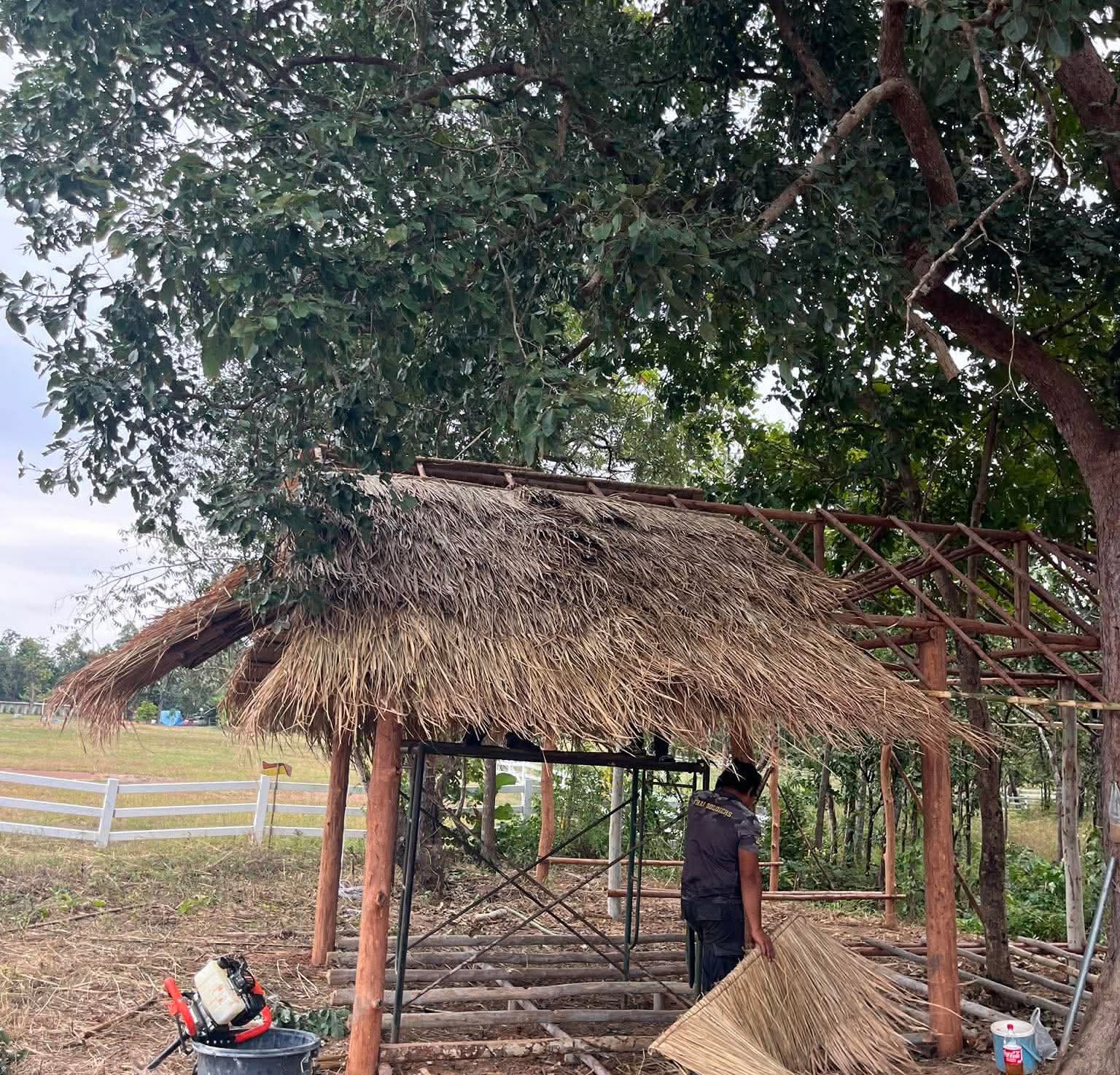 ก้อง ห้วยไร่