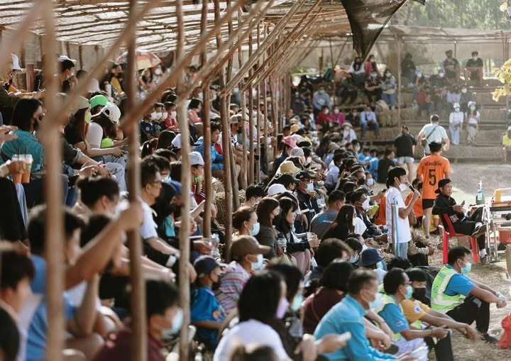 ก้อง ห้วยไร่