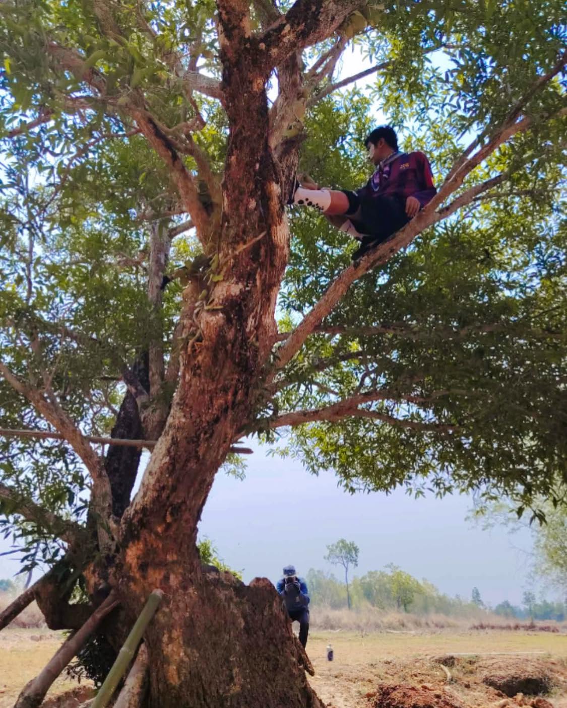 ก้อง ห้วยไร่