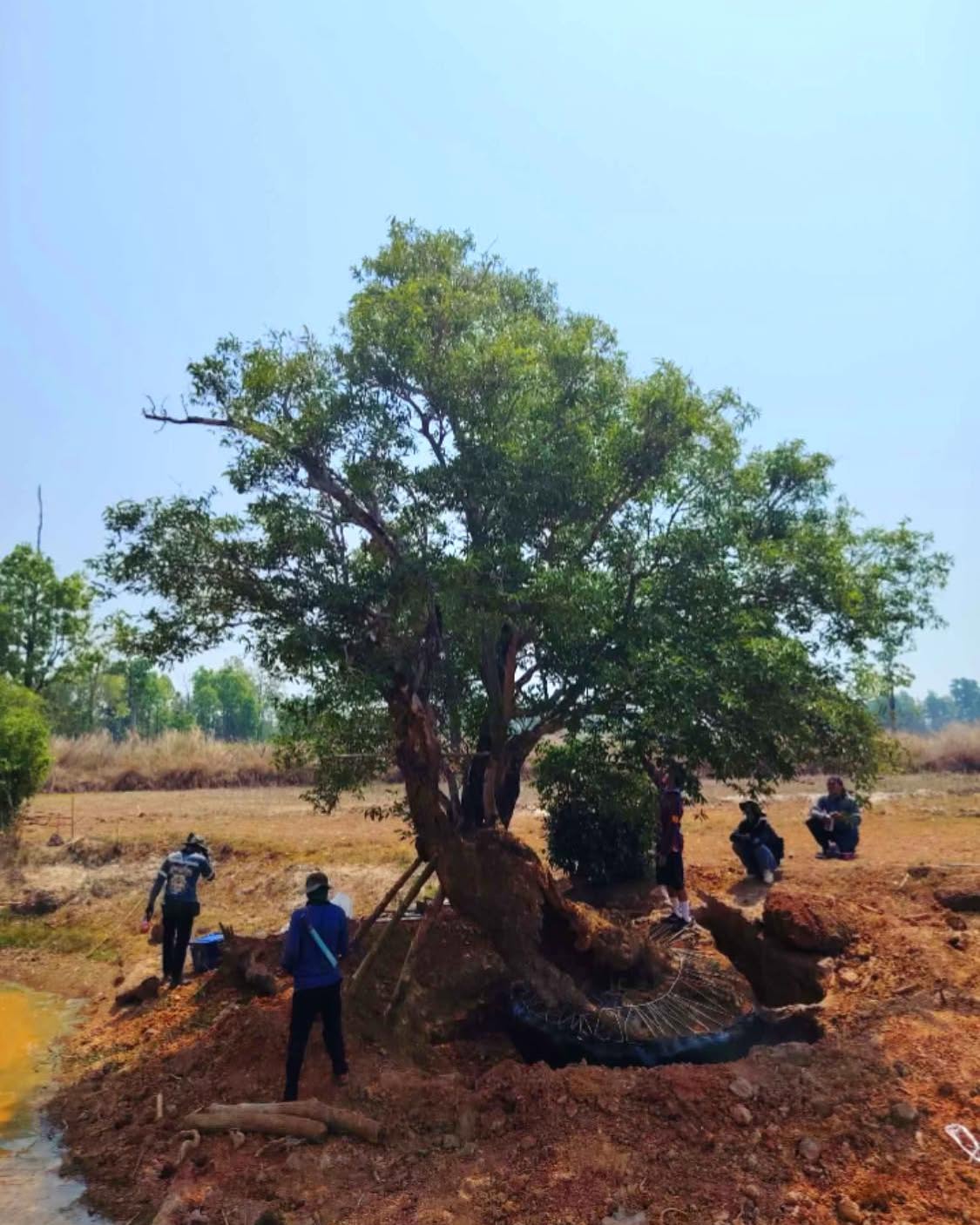 ก้อง ห้วยไร่