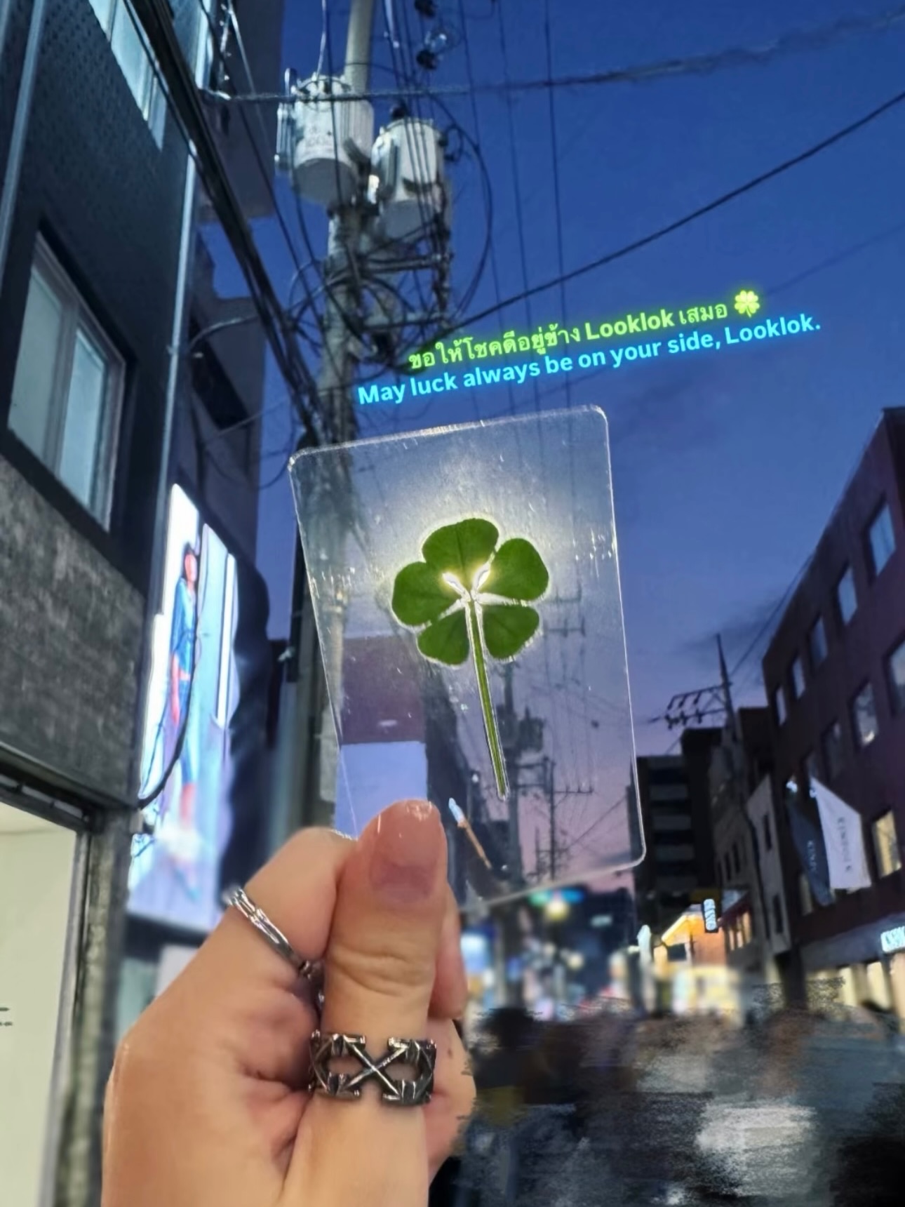 ลูกแก้ว - กมลลักษณ์ แสงทรัพย์สิน