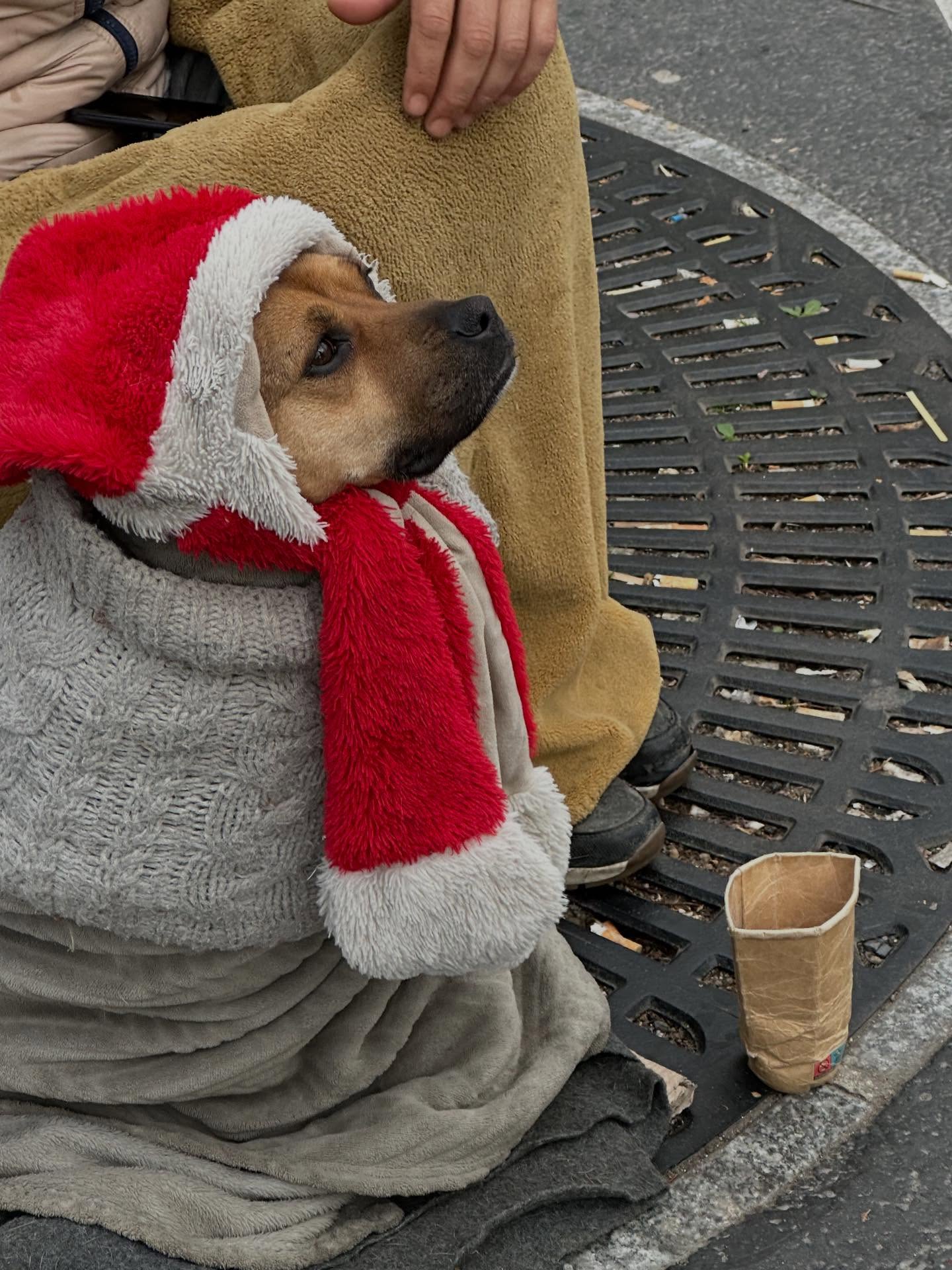 ยอร์ช - ยงศิลป์ วงศ์พนิตนนท์