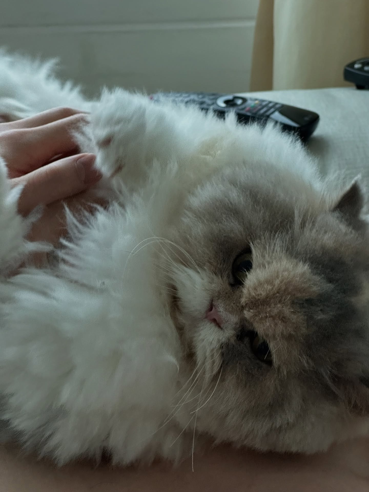 สน - ยุกต์ ส่งไพศาล