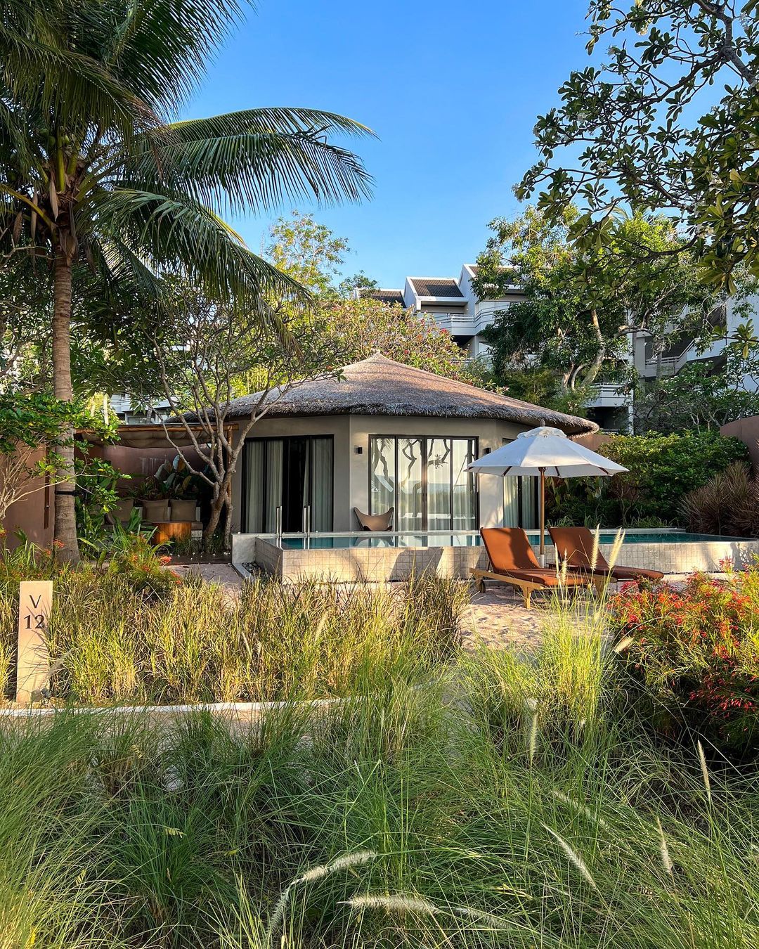 แพทริเซีย กู๊ด