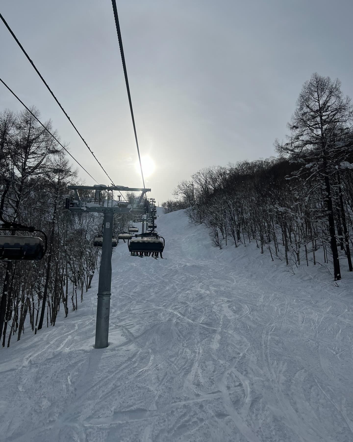 แพทริเซีย กู๊ด