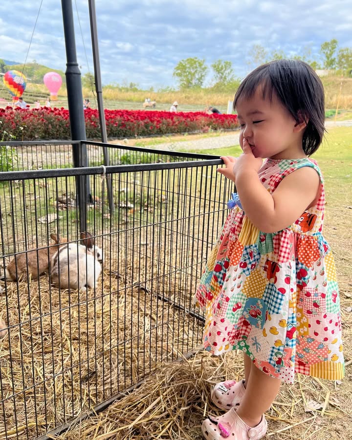แพทริเซีย กู๊ด
