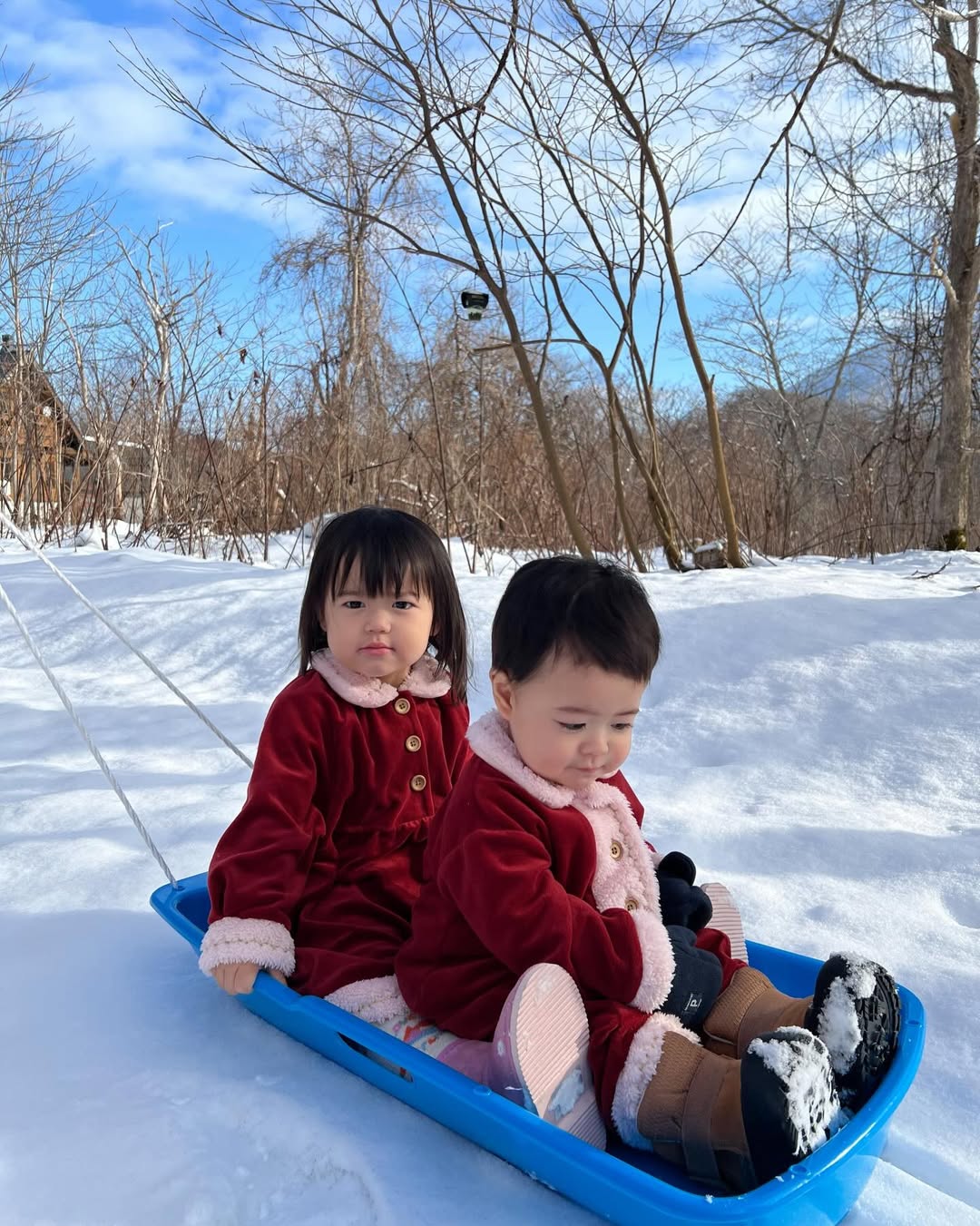 แพทริเซีย กู๊ด