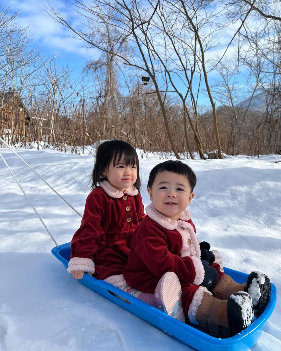 แพทริเซีย กู๊ด