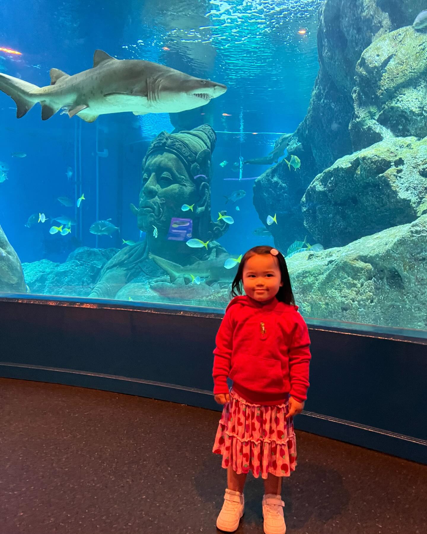 แพทริเซีย กู๊ด