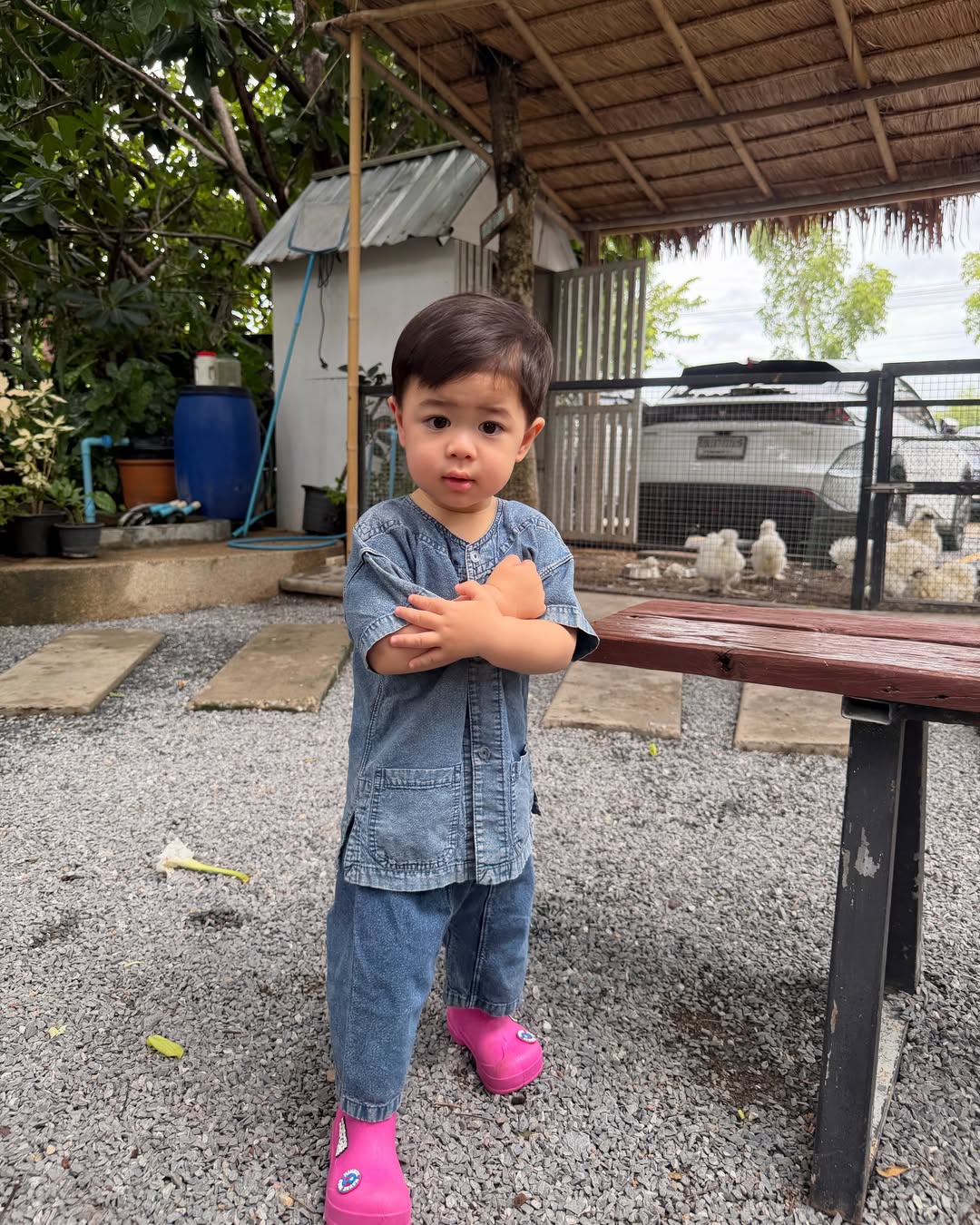 แพทริเซีย กู๊ด