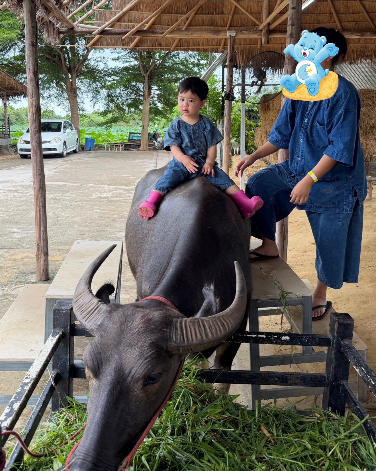 แพทริเซีย กู๊ด